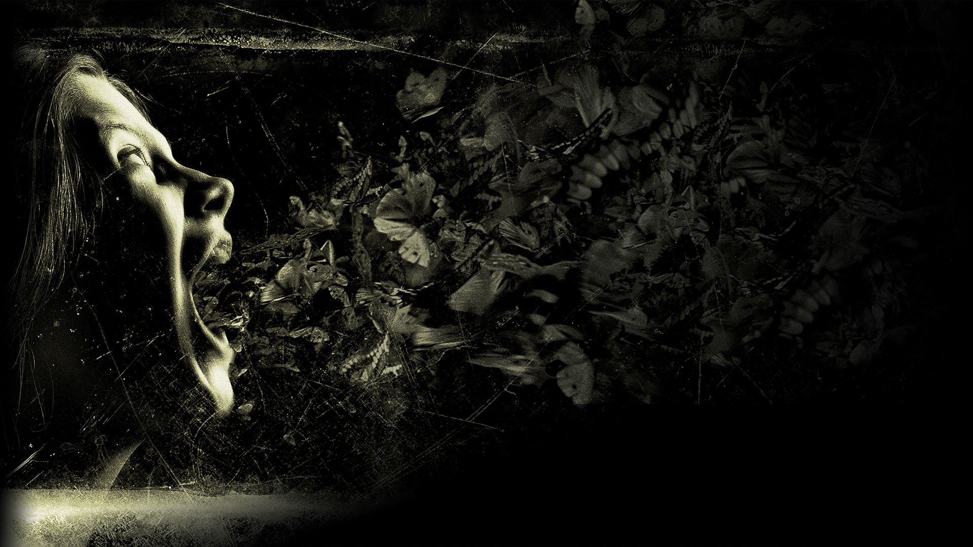 The Possession background