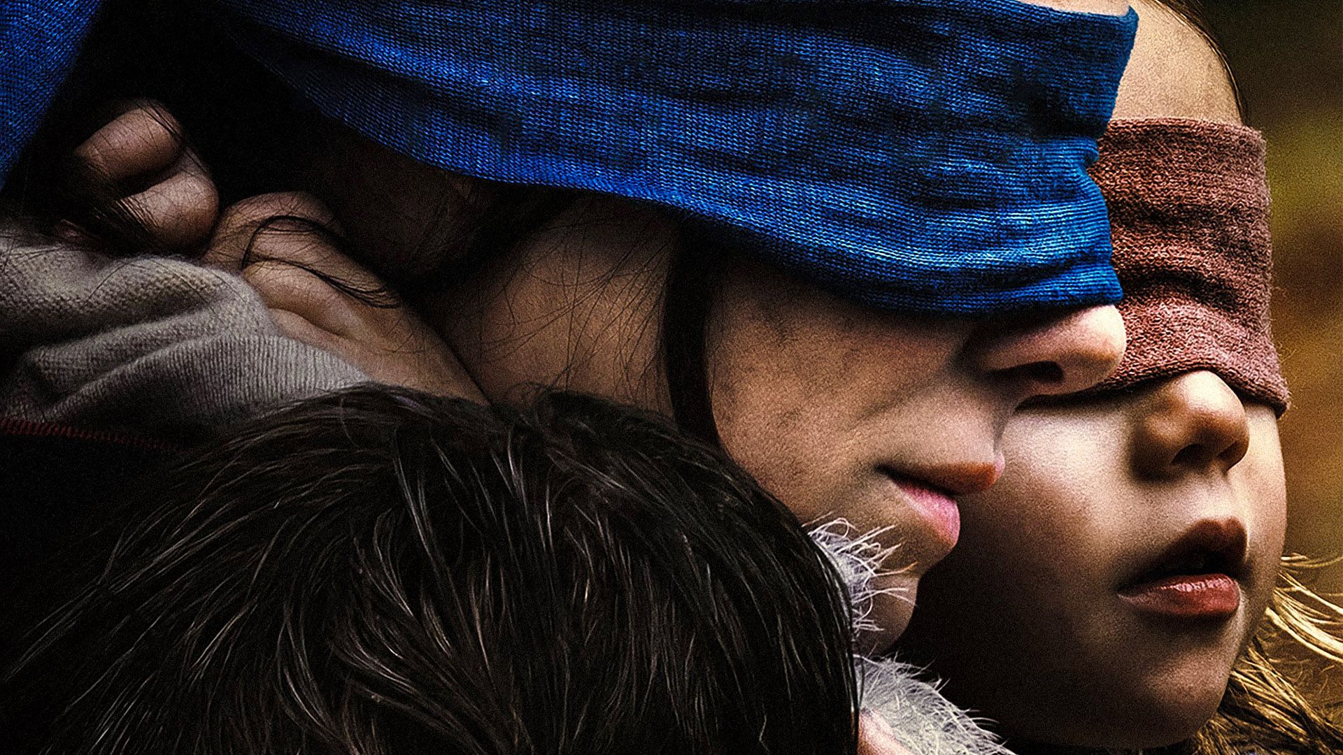Bird Box background