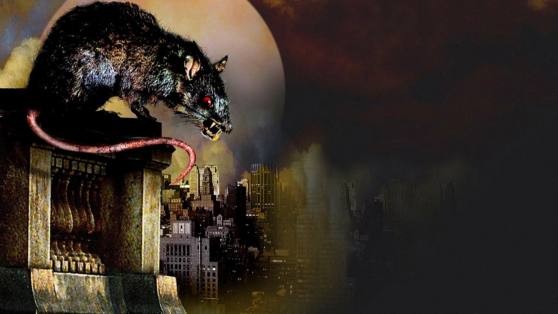 Killer Rats background