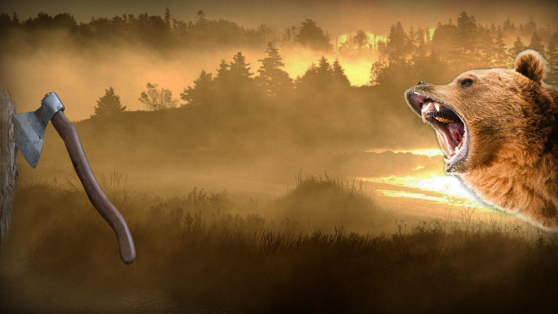 A Cry in the Wild background