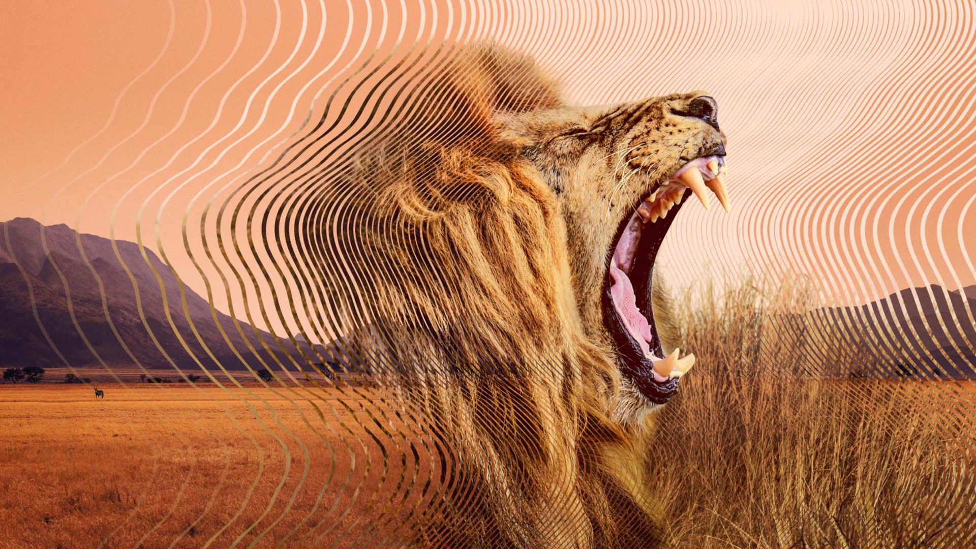 Secret World of Sound with David Attenborough background