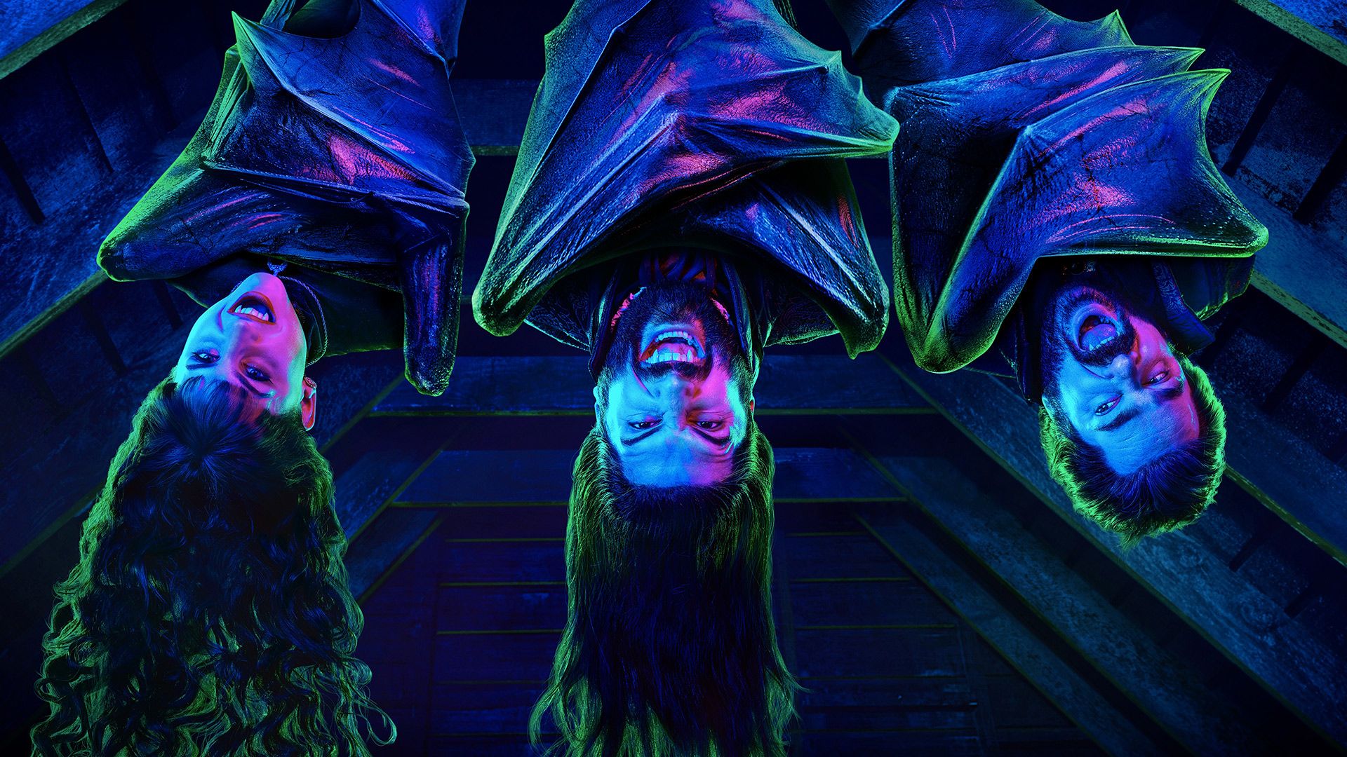 What We Do in the Shadows background