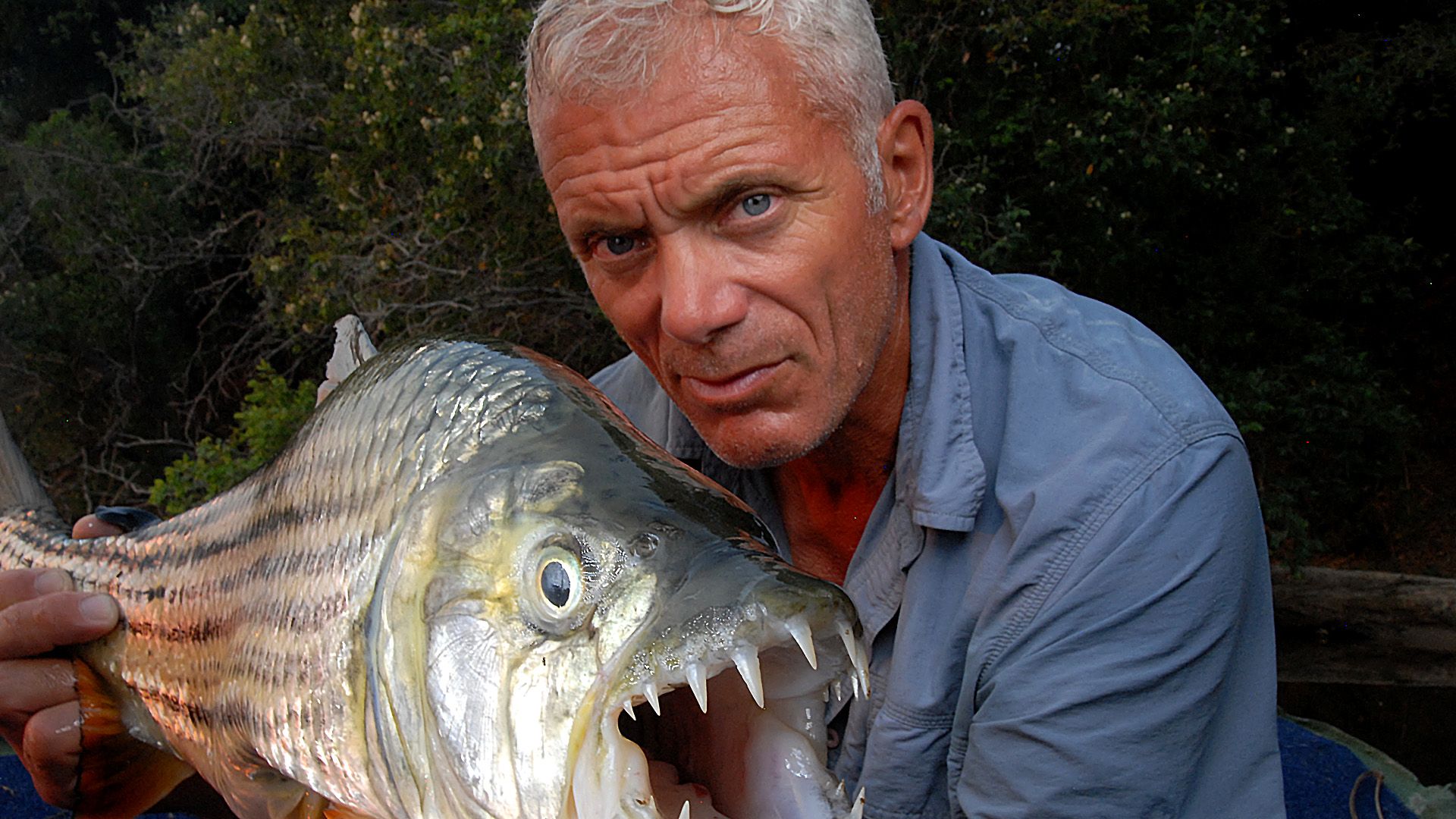 River Monsters background