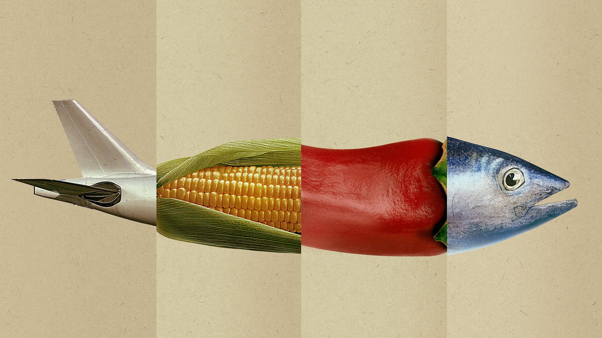 Omnivore background