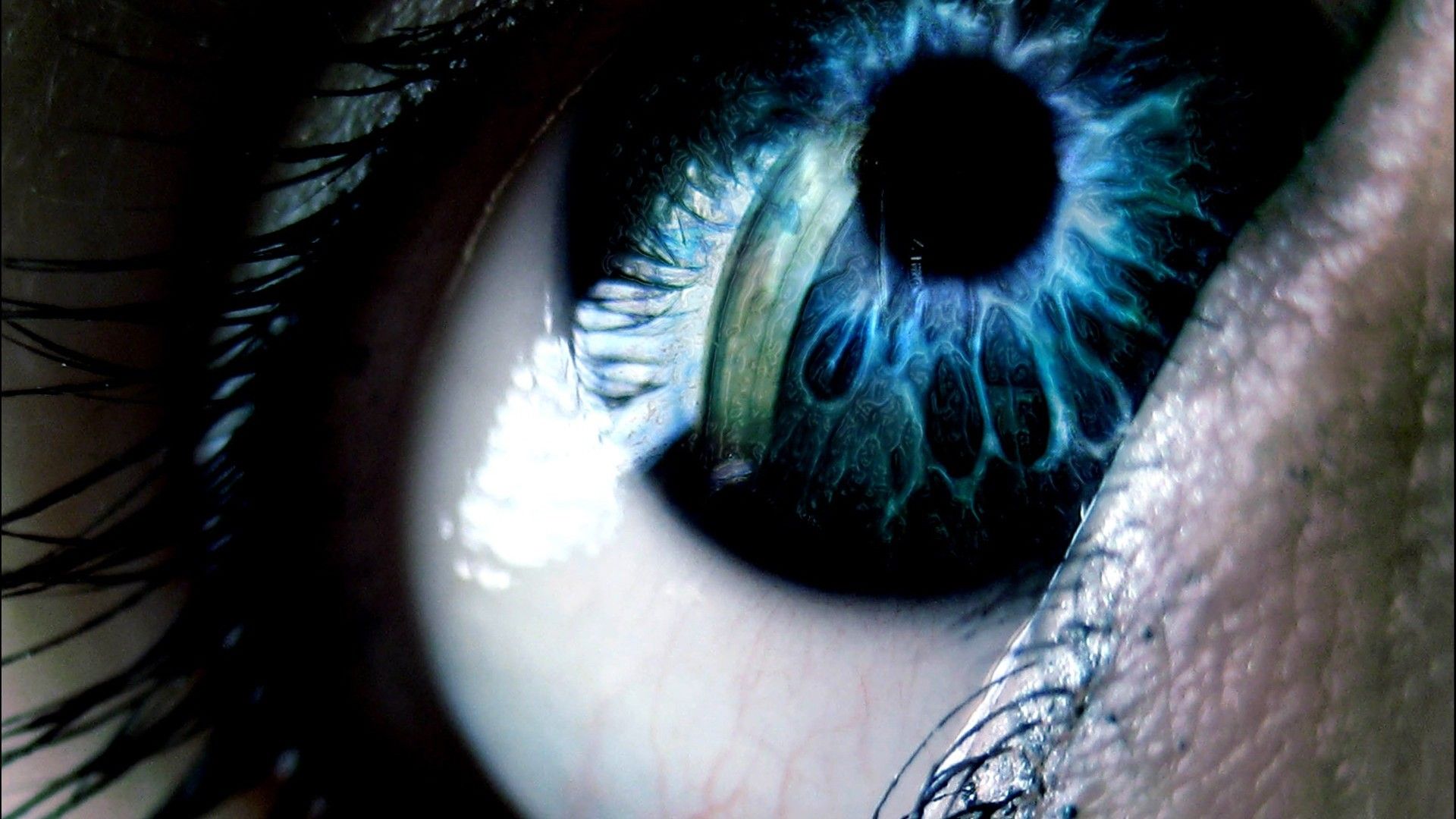 Human Instinct background