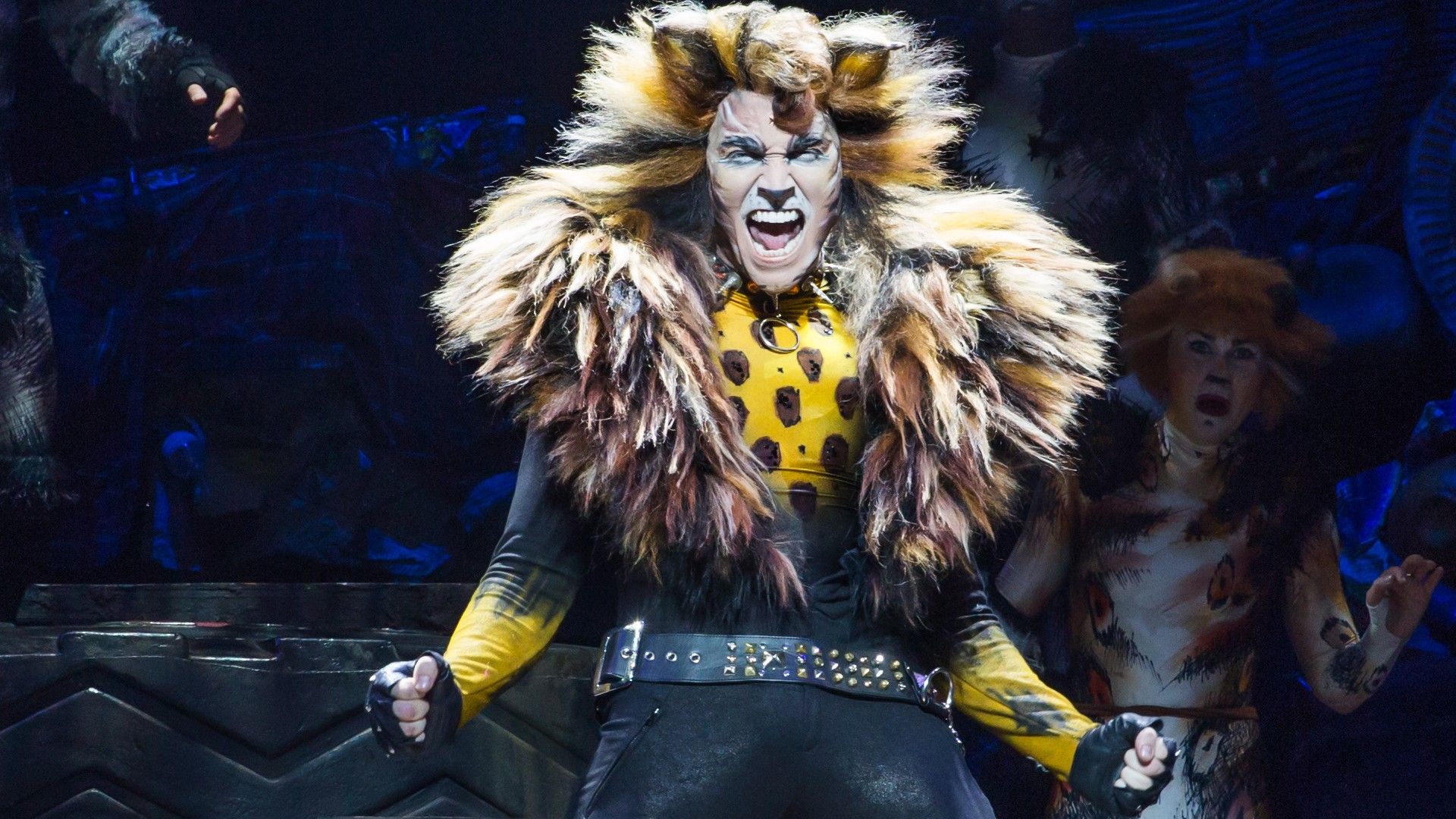 What's New, Pussycat: Backstage at 'Cats' with Tyler Hanes background
