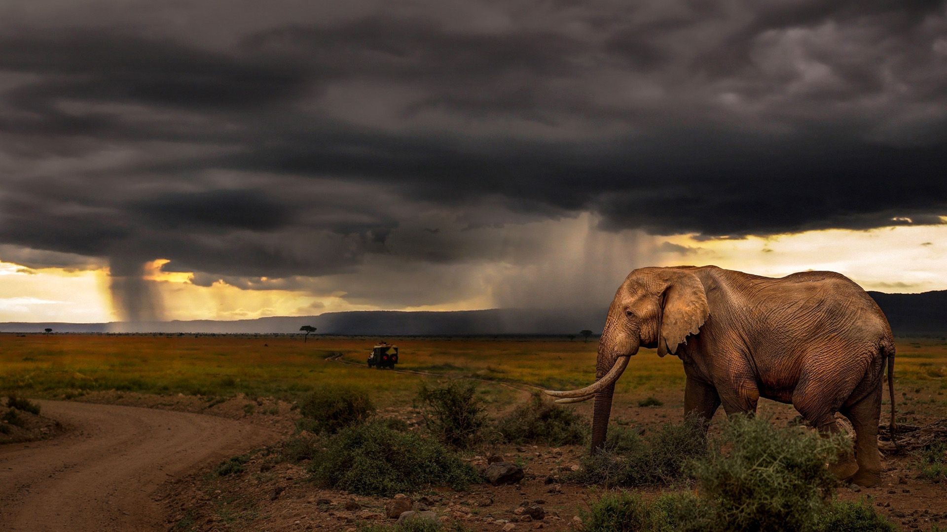 Chasing the Rains background