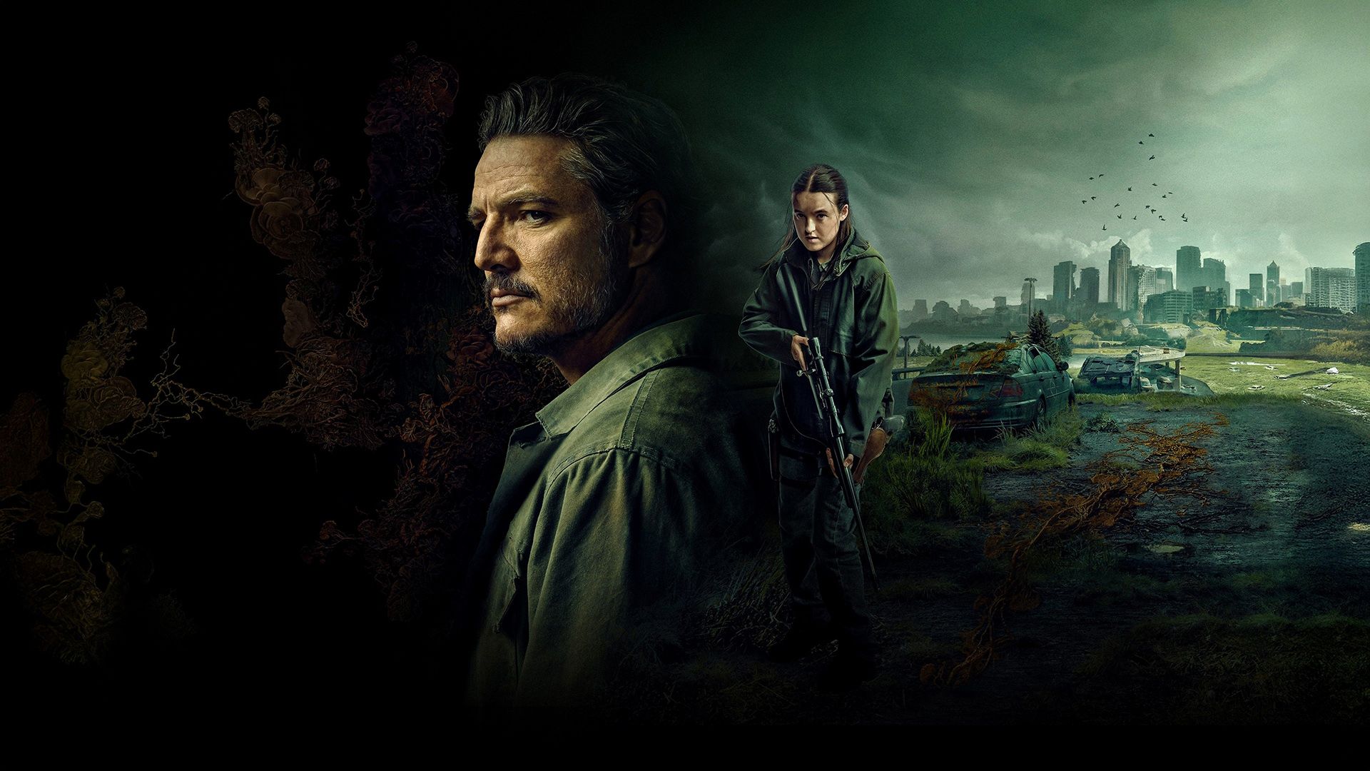 The Last of Us background
