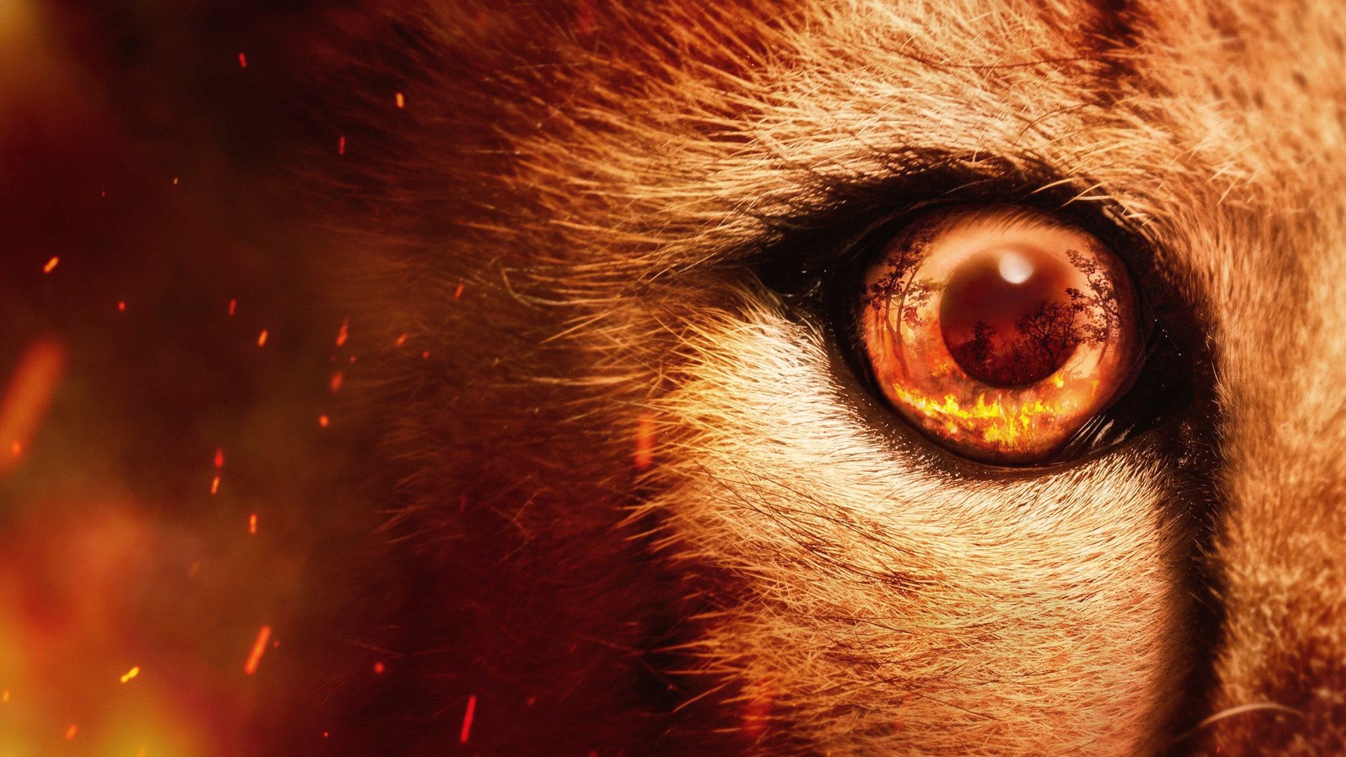 Predators background