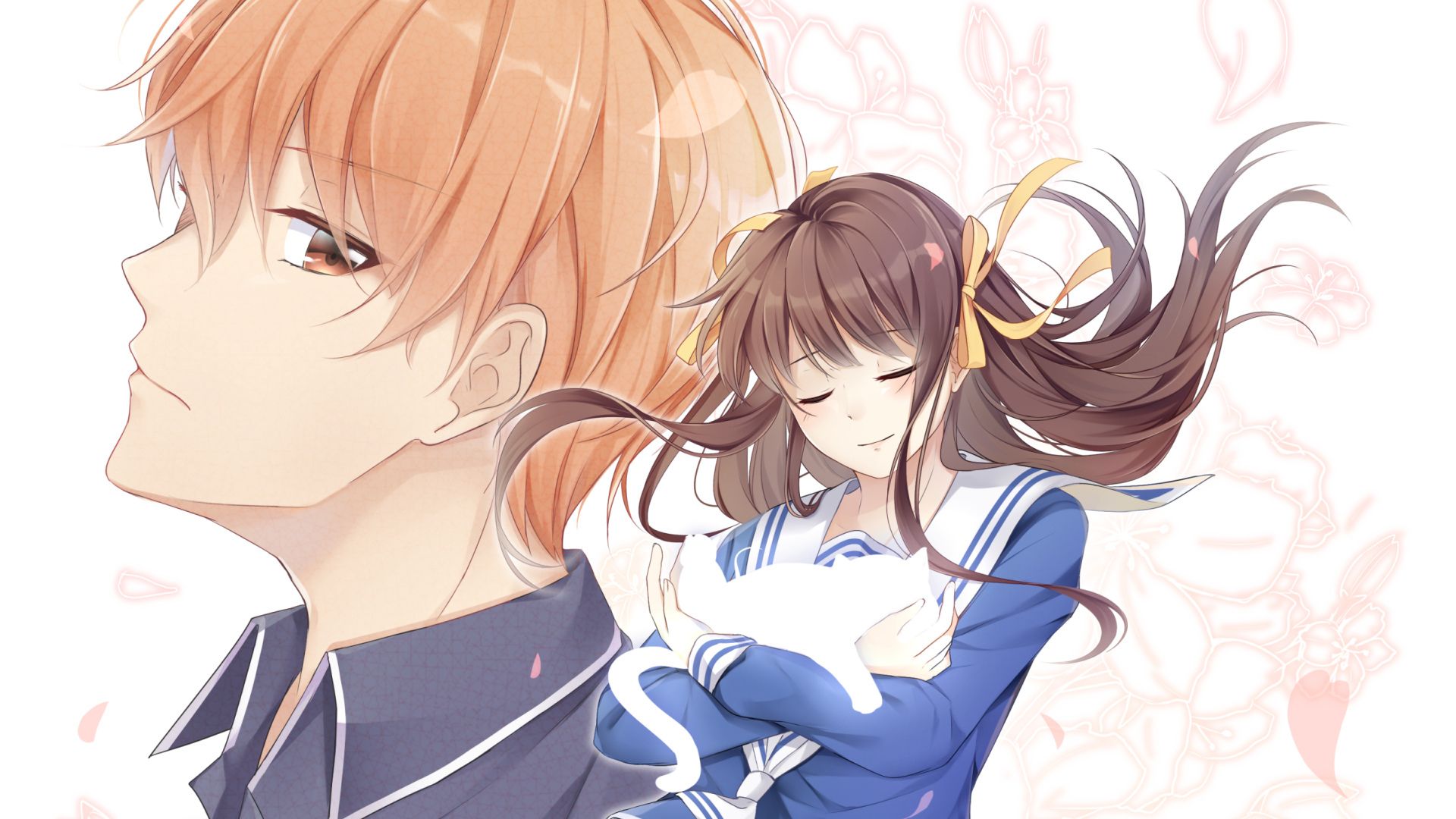 Fruits Basket background