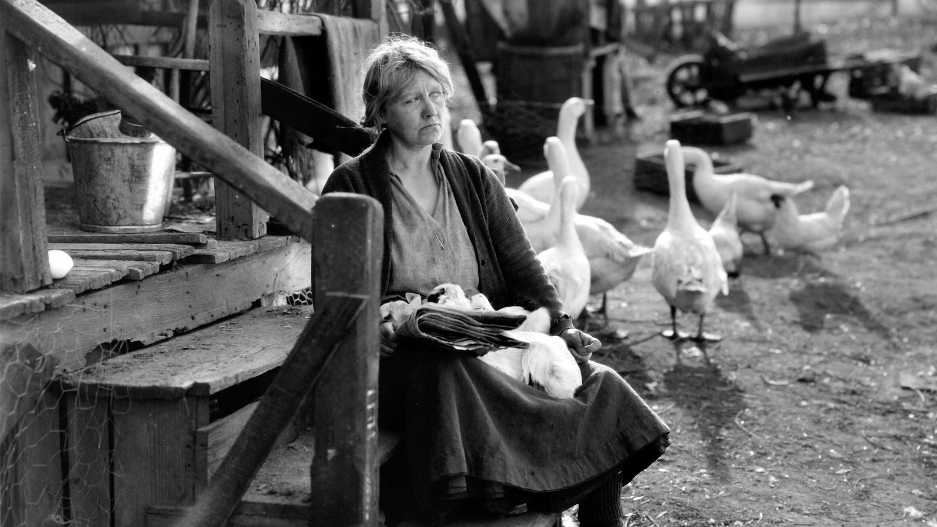 The Goose Woman background