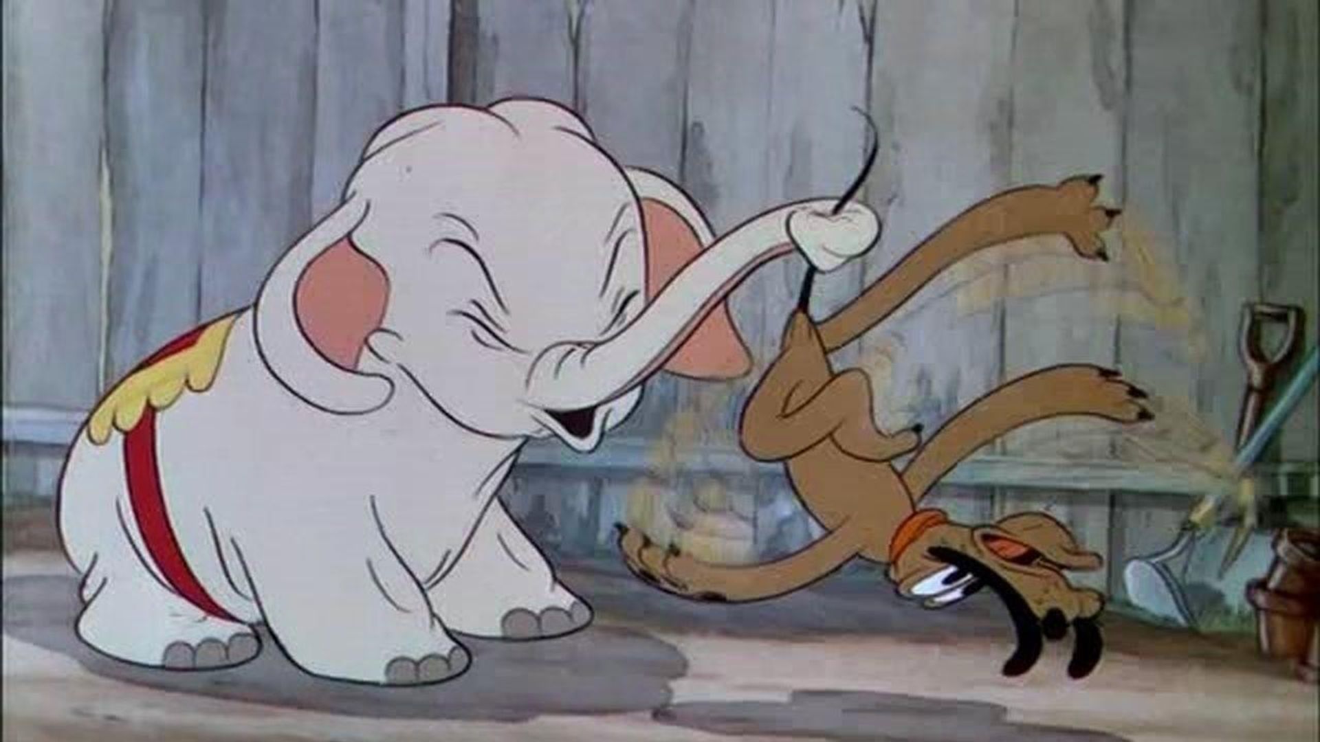 Mickey's Elephant background