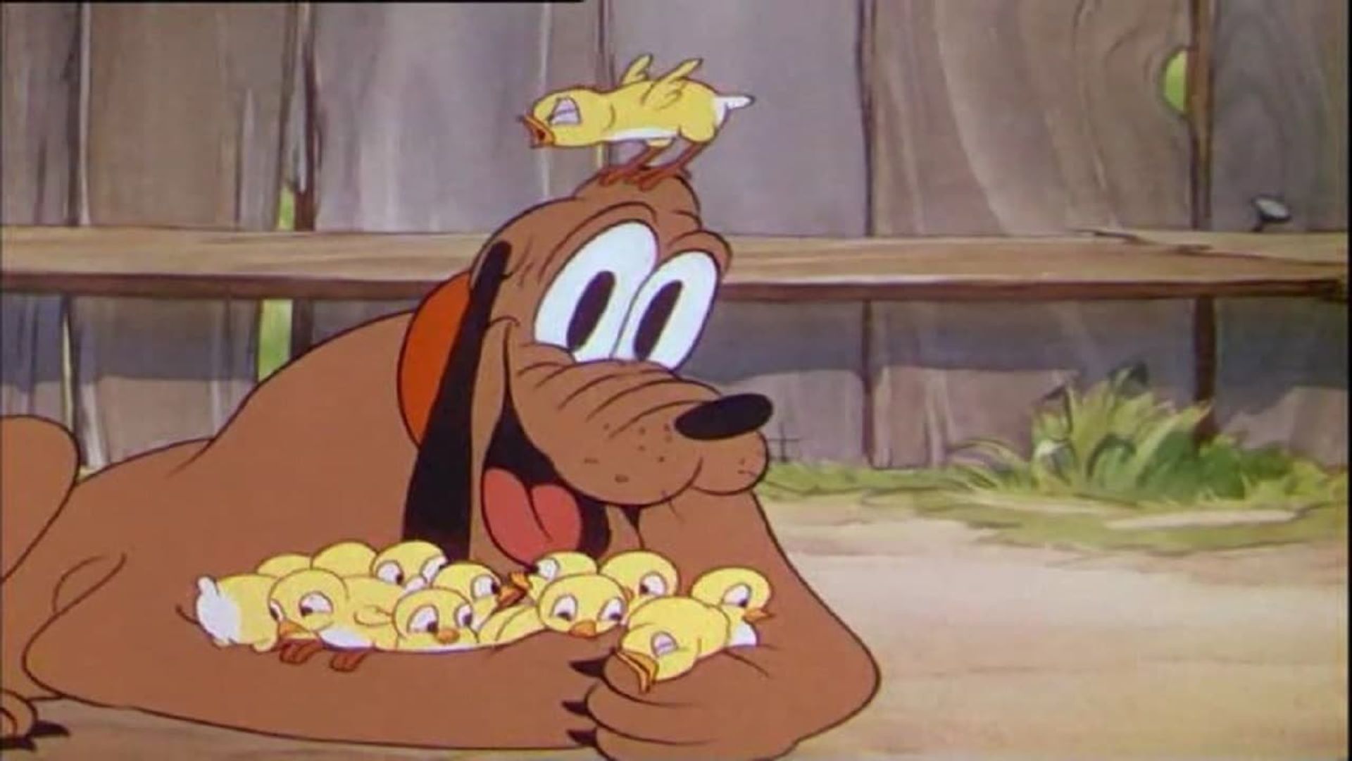Mother Pluto background