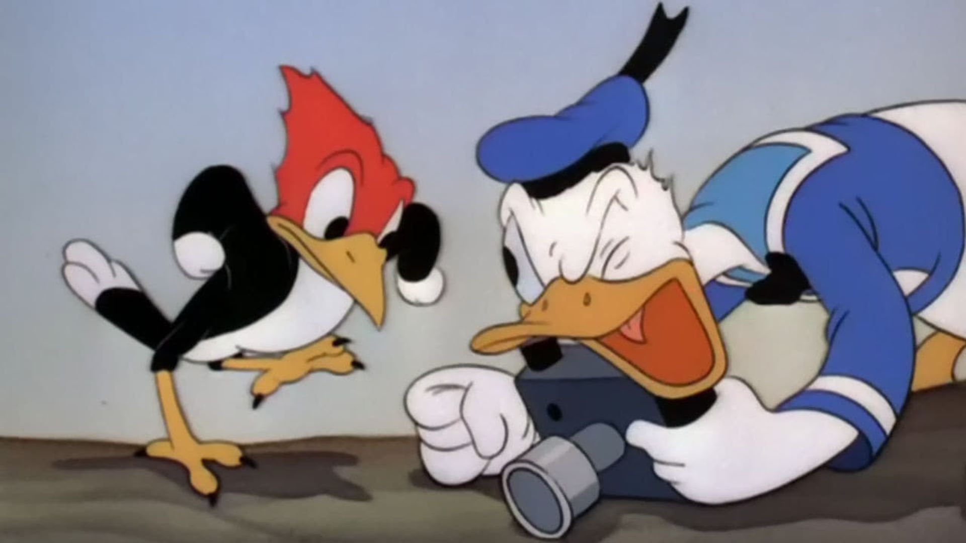 Donald's Camera background