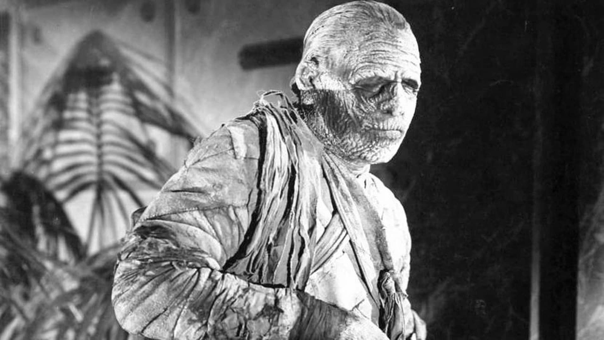 The Mummy's Tomb background
