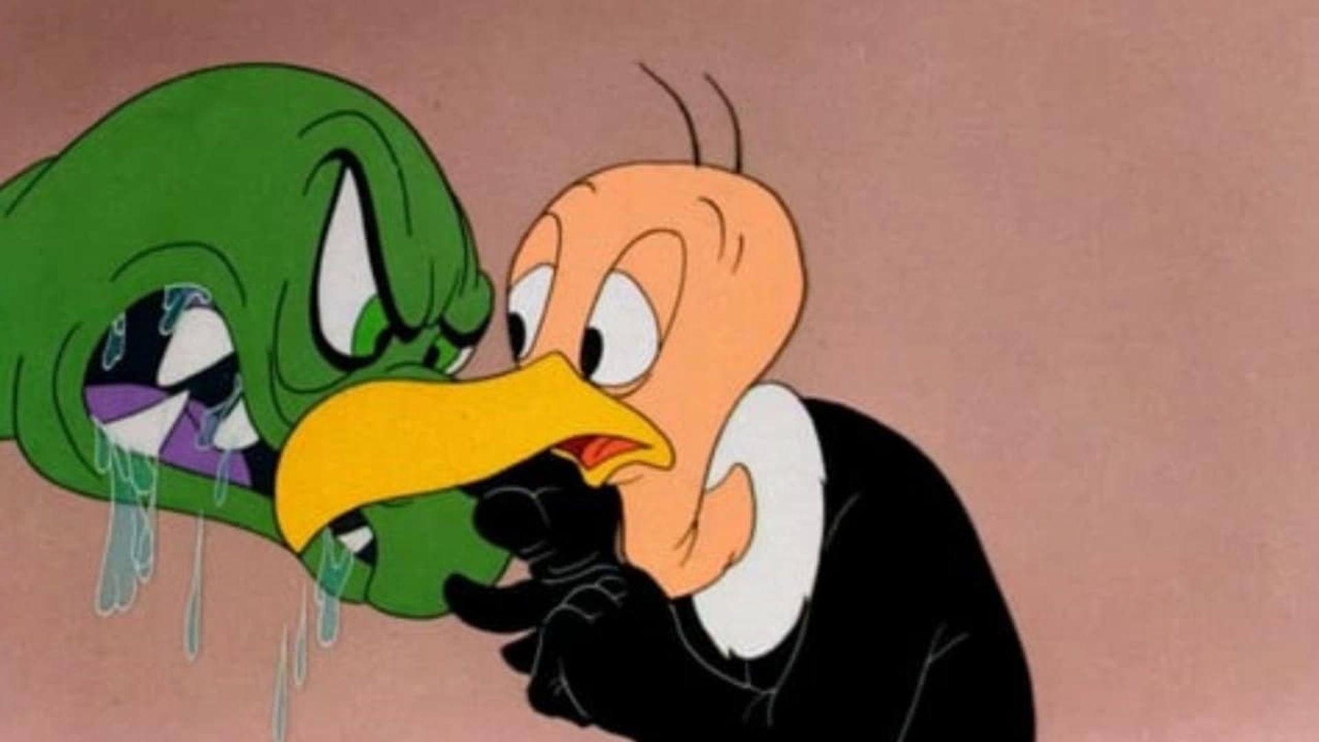 The Bashful Buzzard background