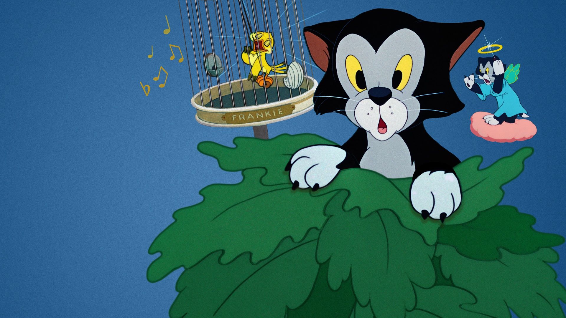 Figaro and Frankie background