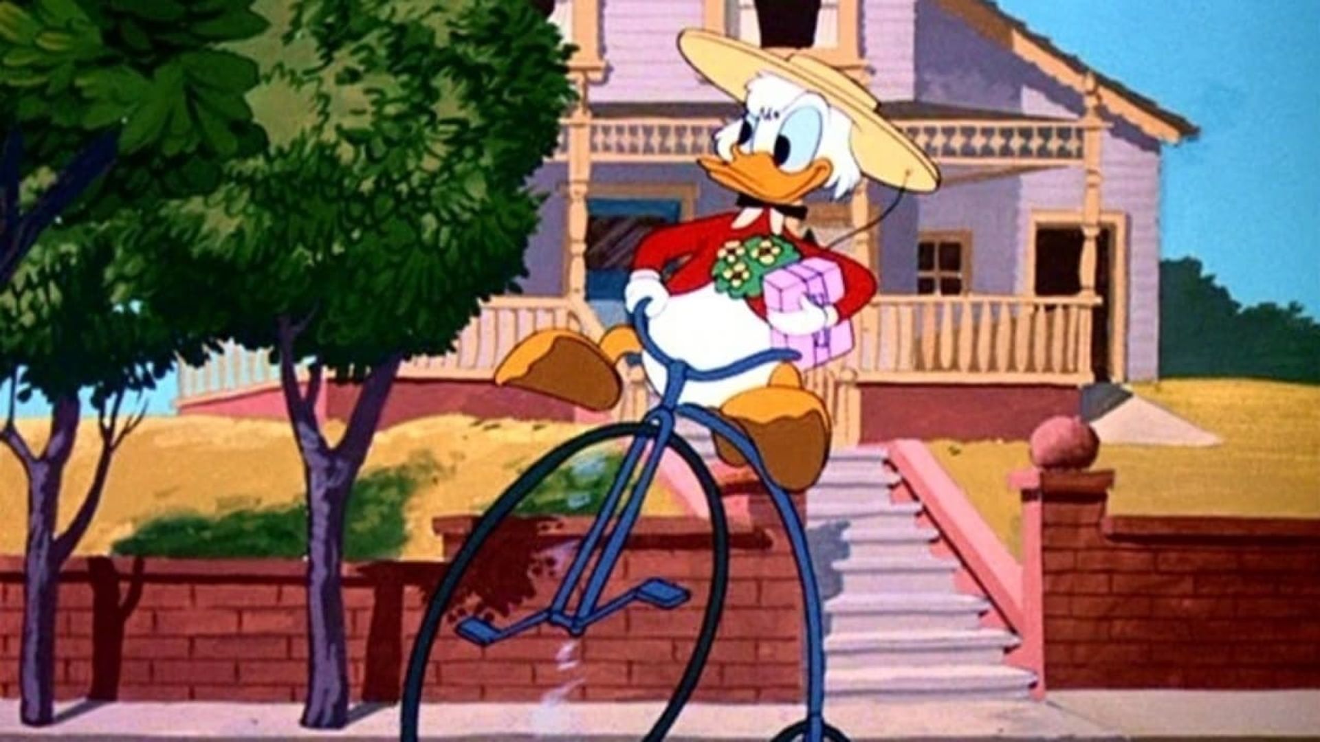 Crazy Over Daisy background