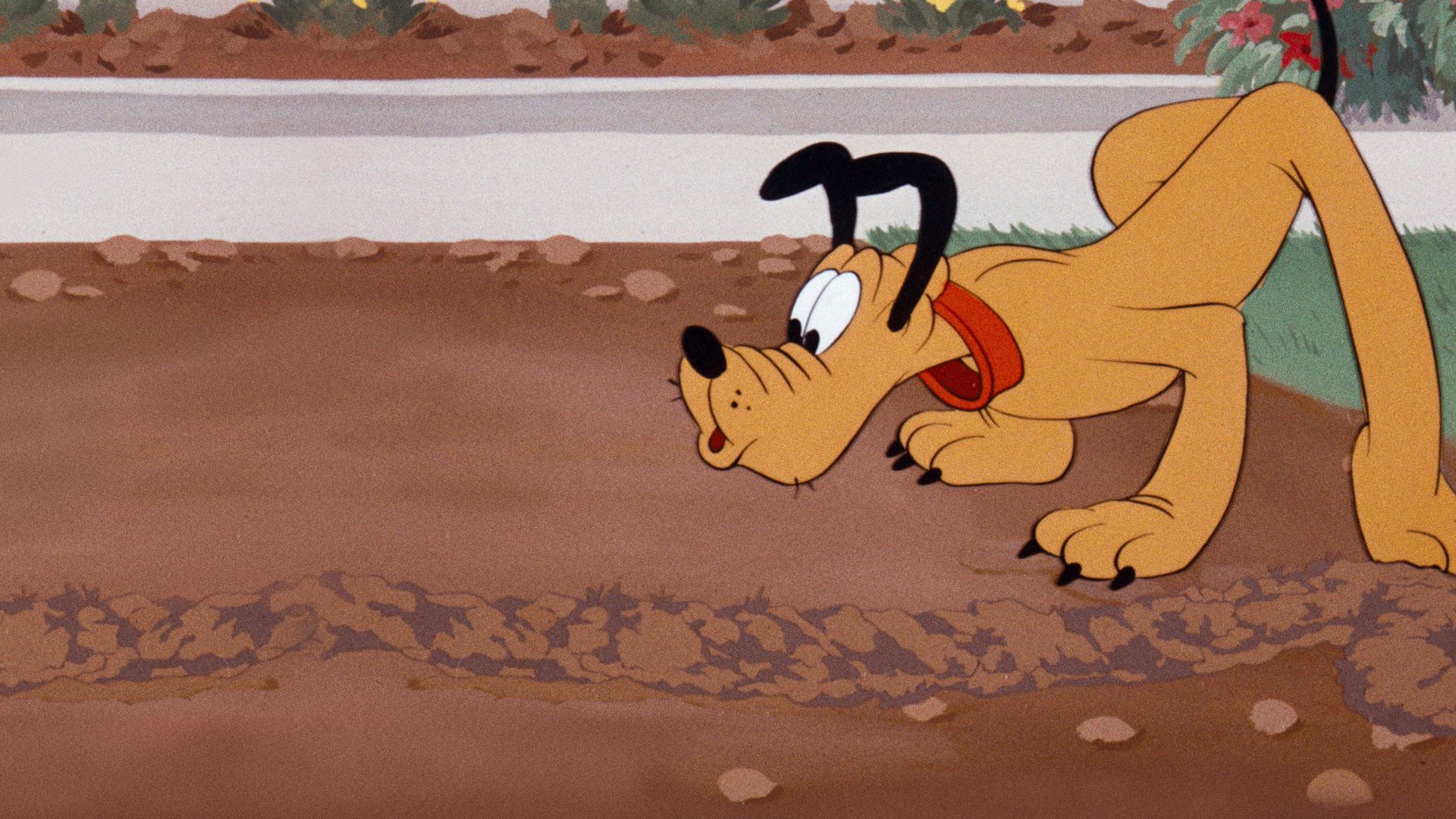 Pluto and the Gopher background