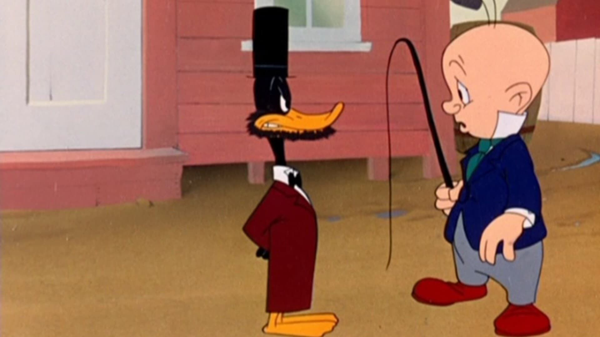Wise Quackers background