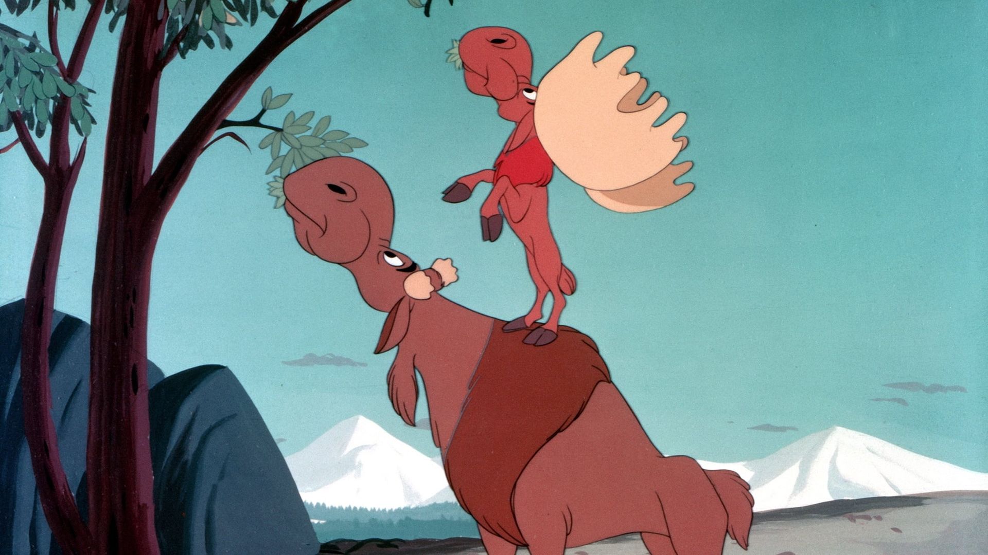 Morris the Midget Moose background