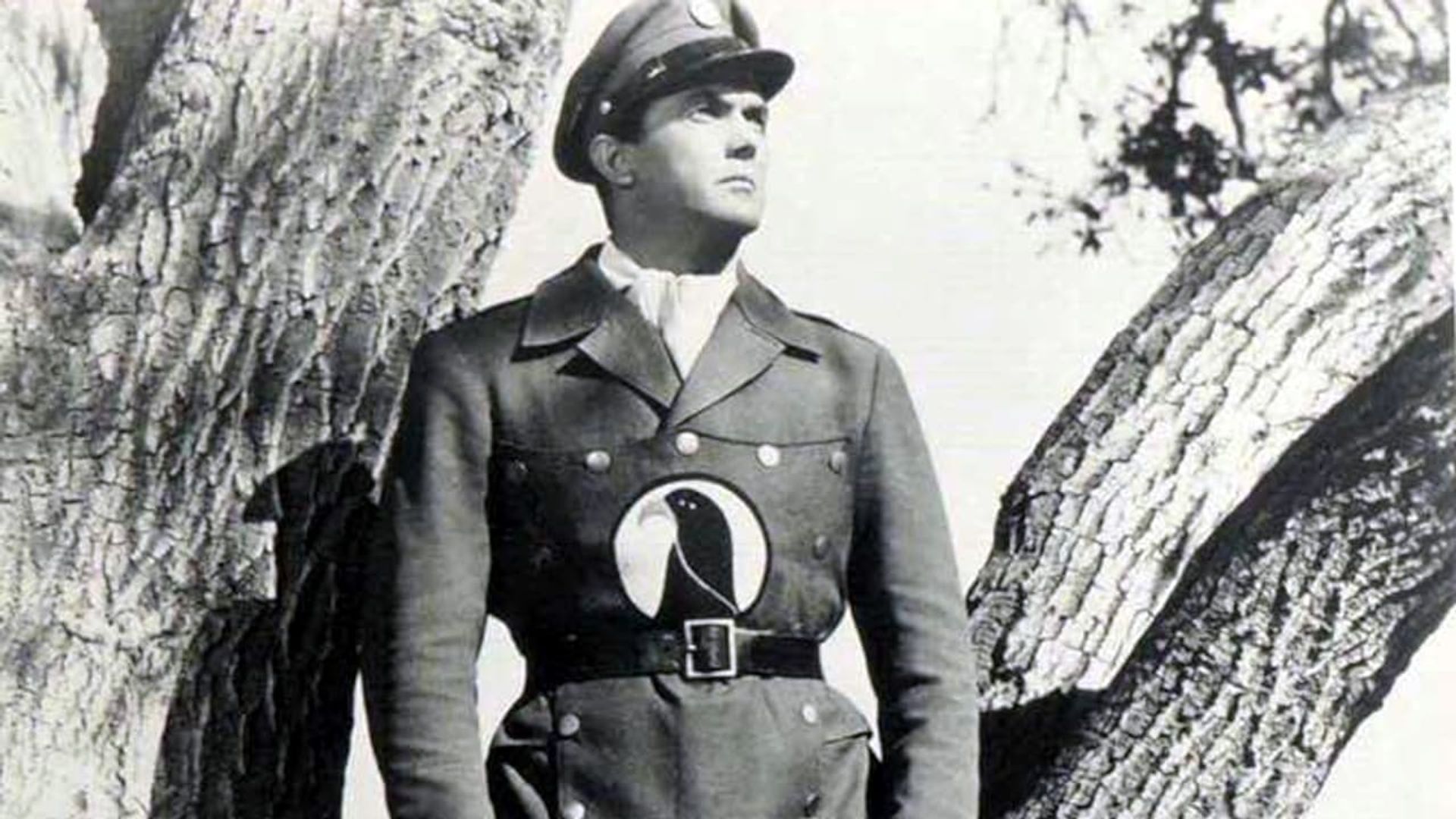 Blackhawk: Fearless Champion of Freedom background