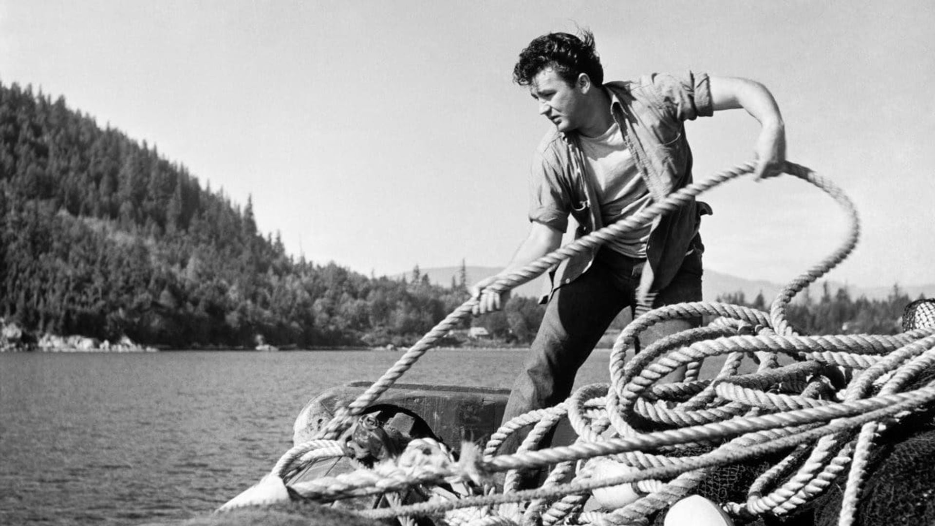 Herring Hunt background