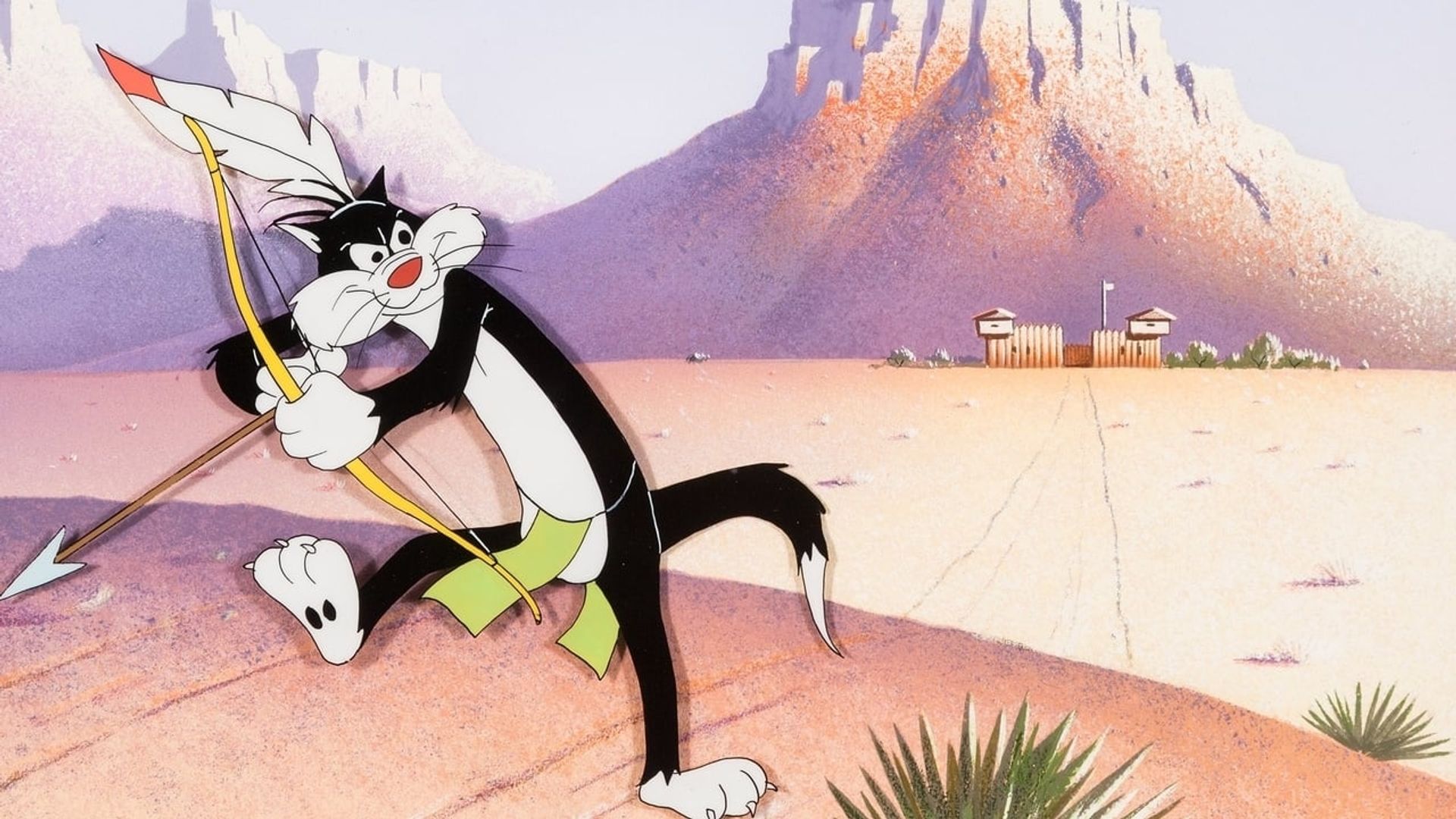 Tom Tom Tomcat background