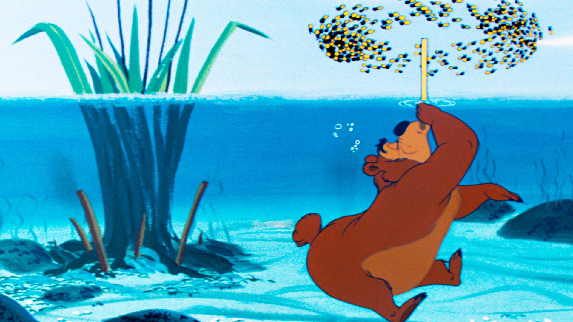 Beezy Bear background
