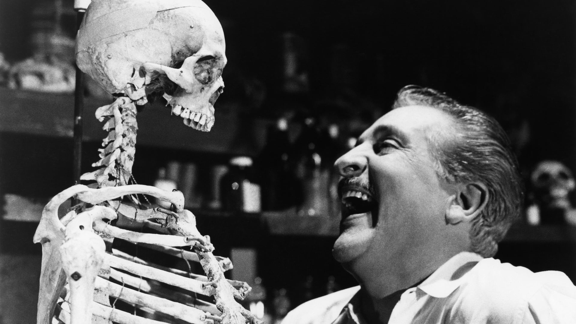 Skeleton of Mrs. Morales background