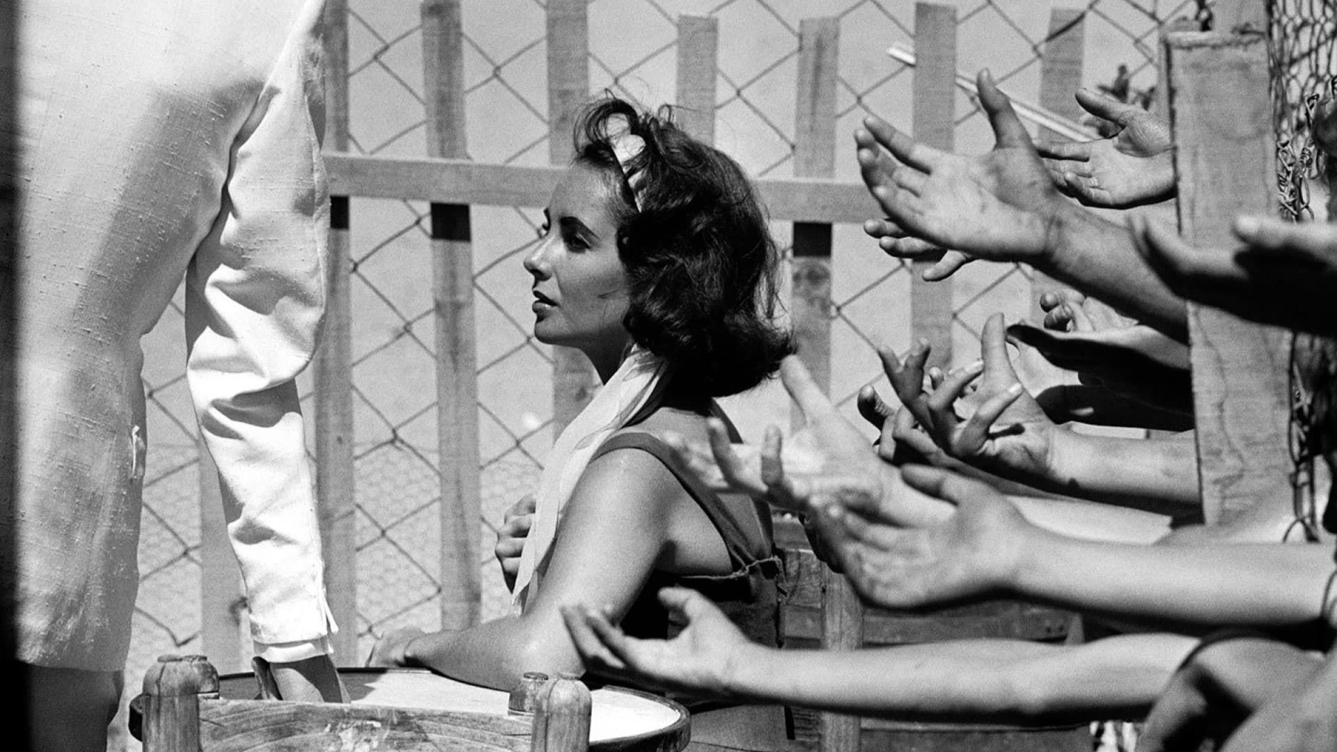 Suddenly, Last Summer background