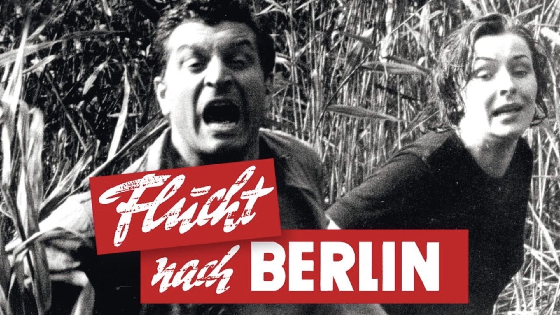 Escape to Berlin background