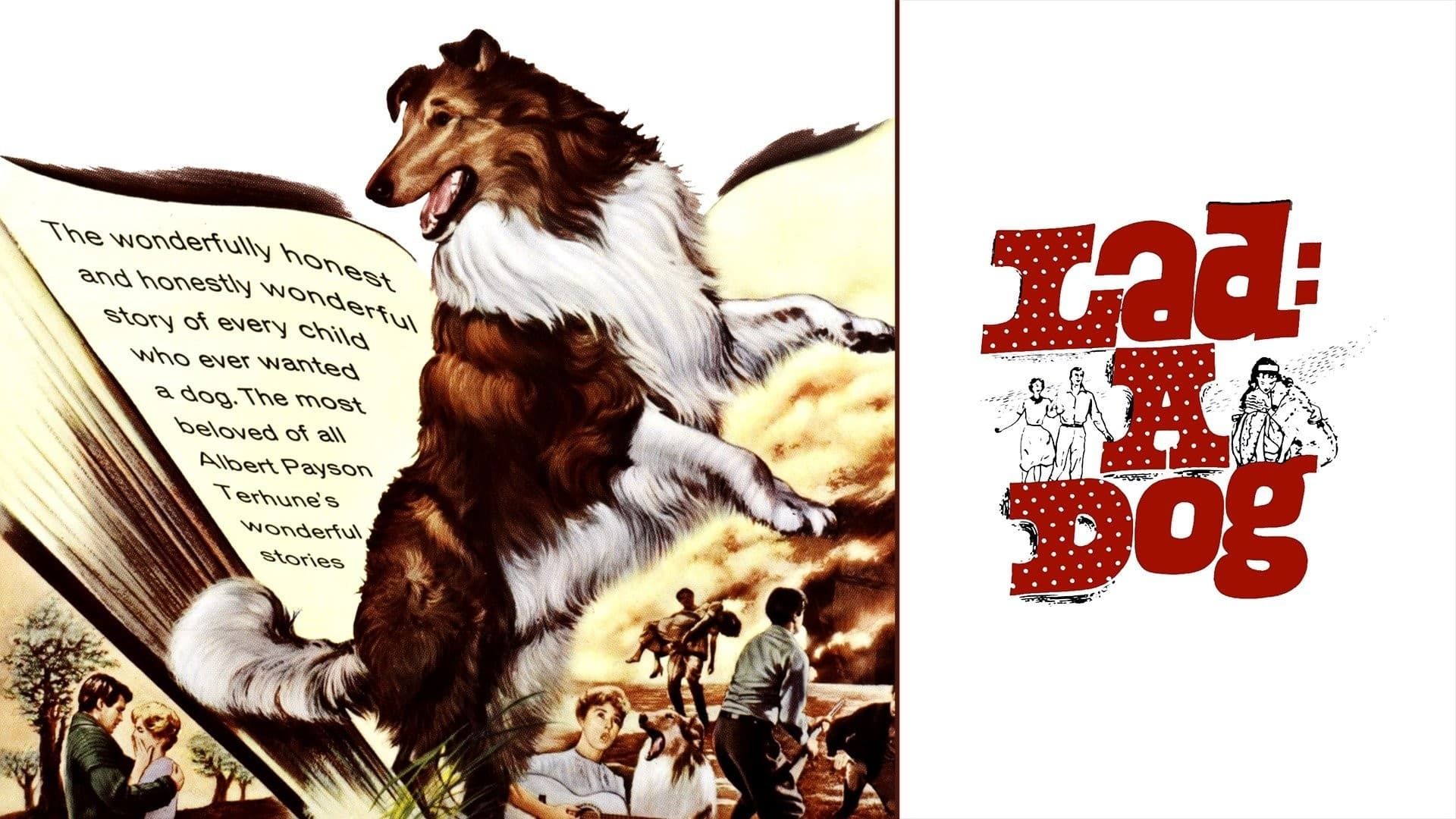 Lad: A Dog background