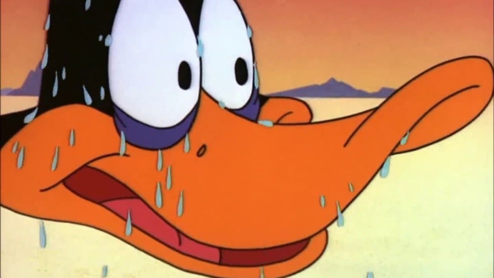 Aqua Duck background