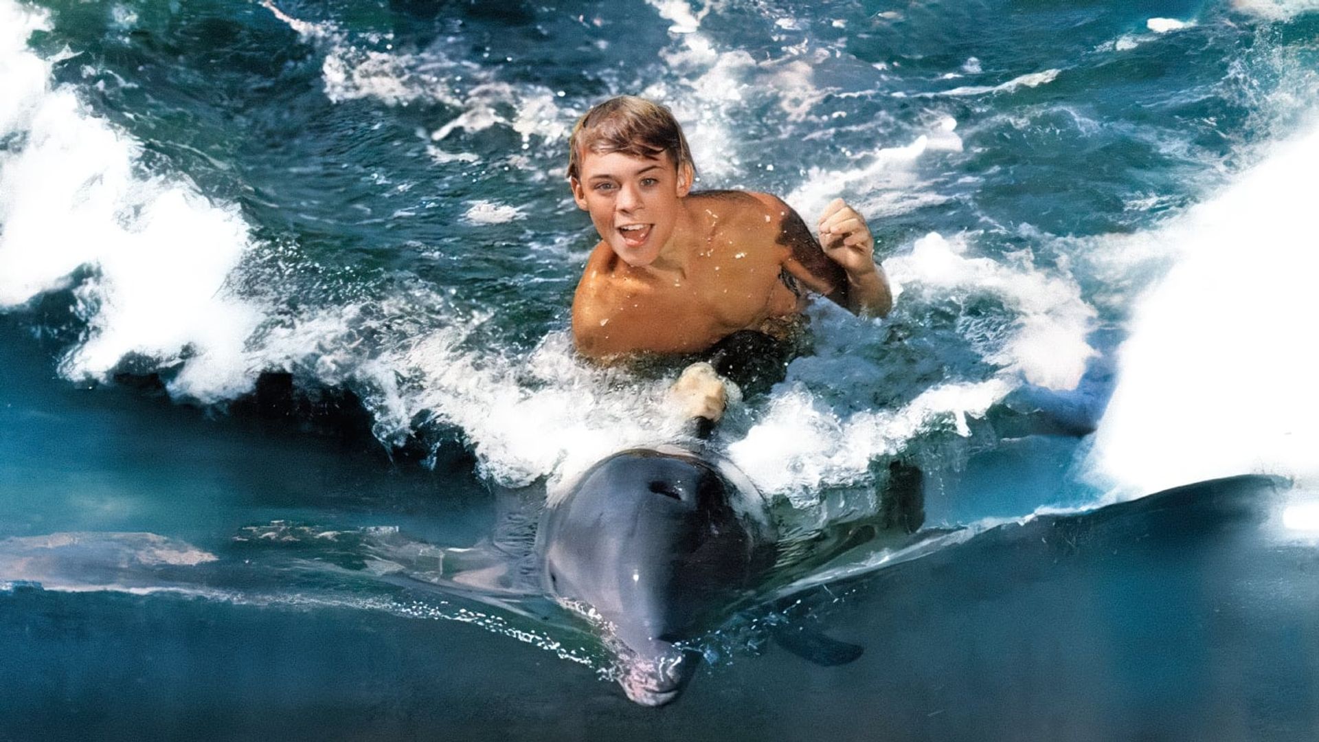 Flipper background