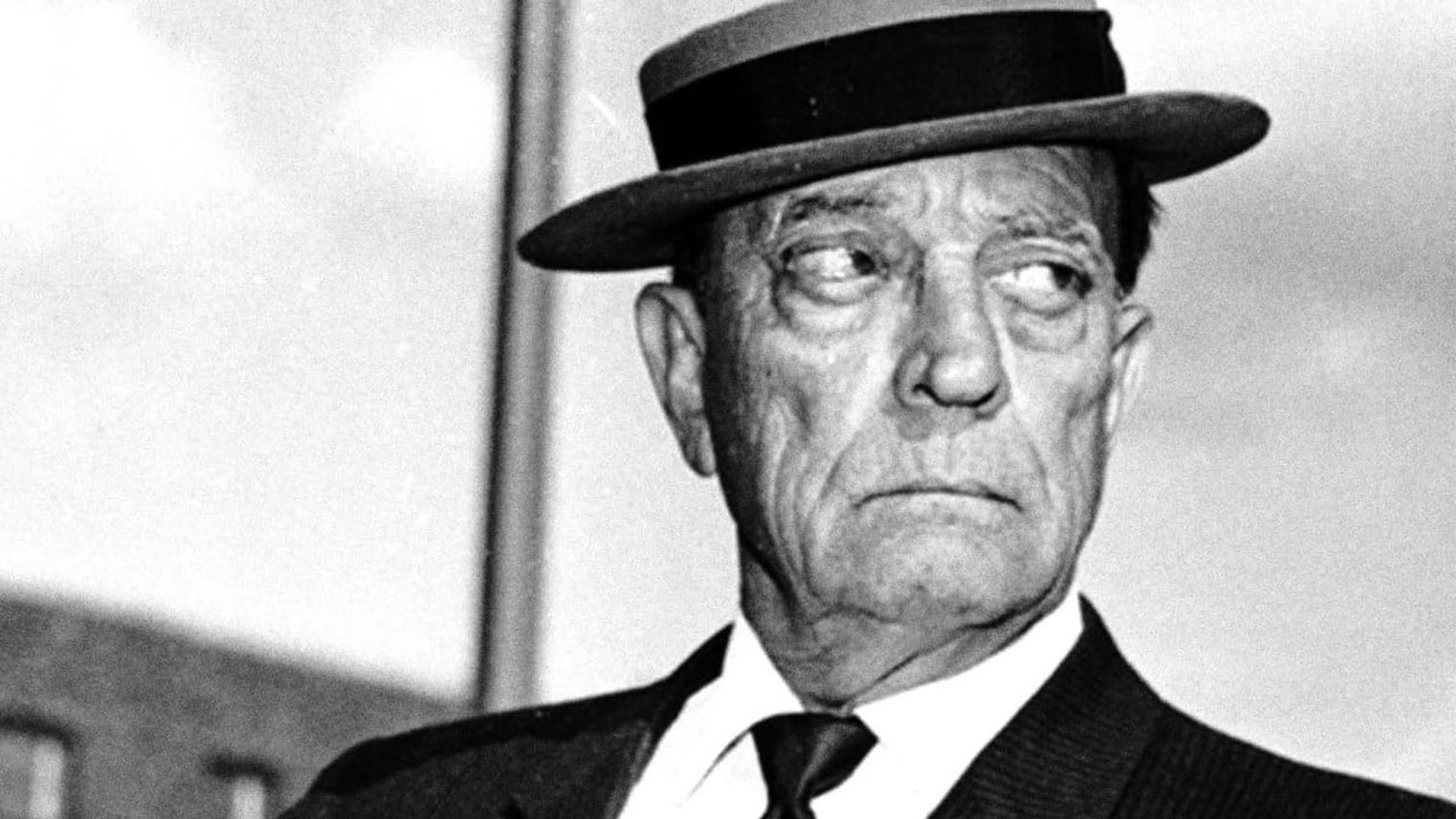Buster Keaton Rides Again background