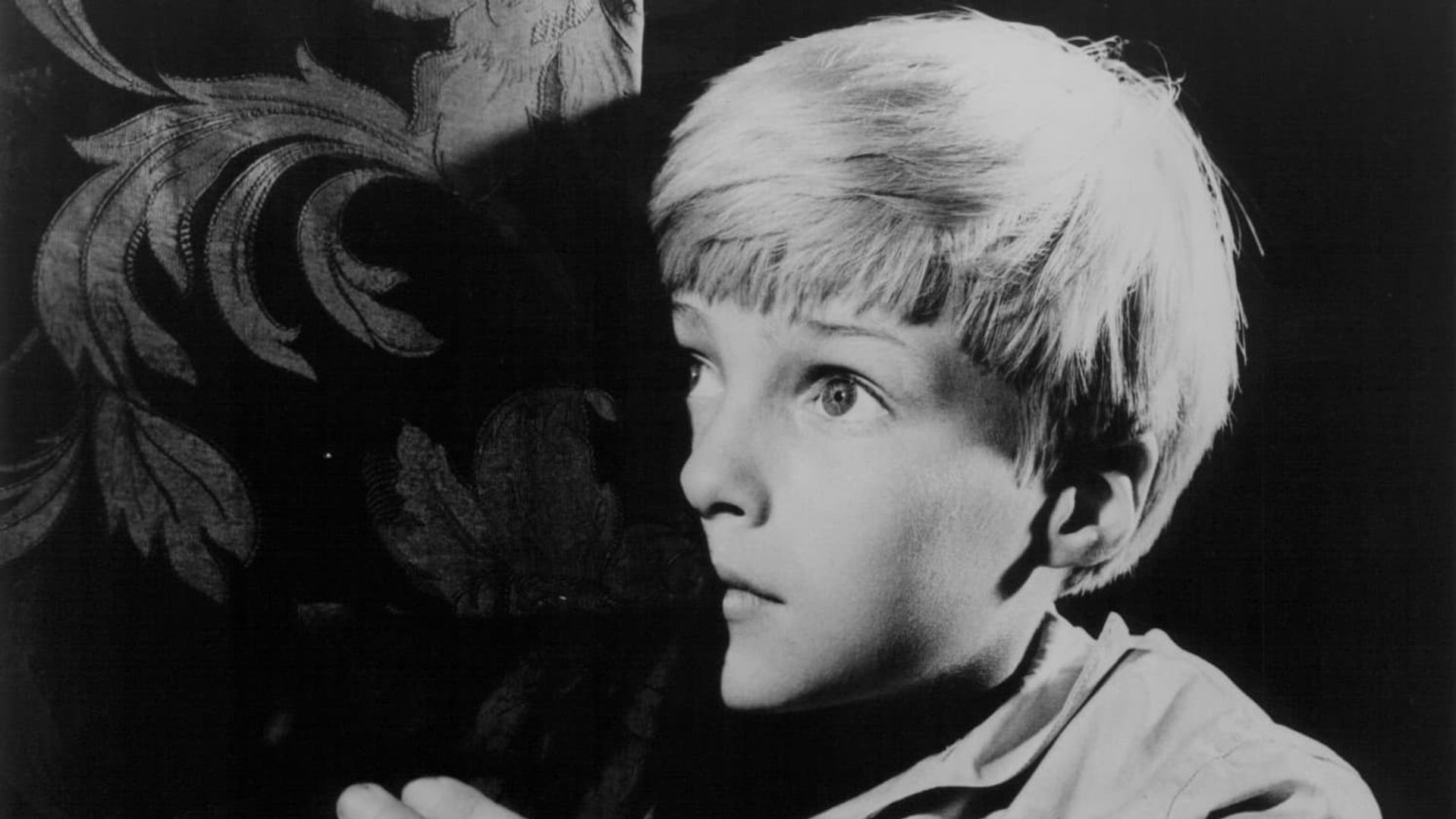 The Boy Cried Murder background