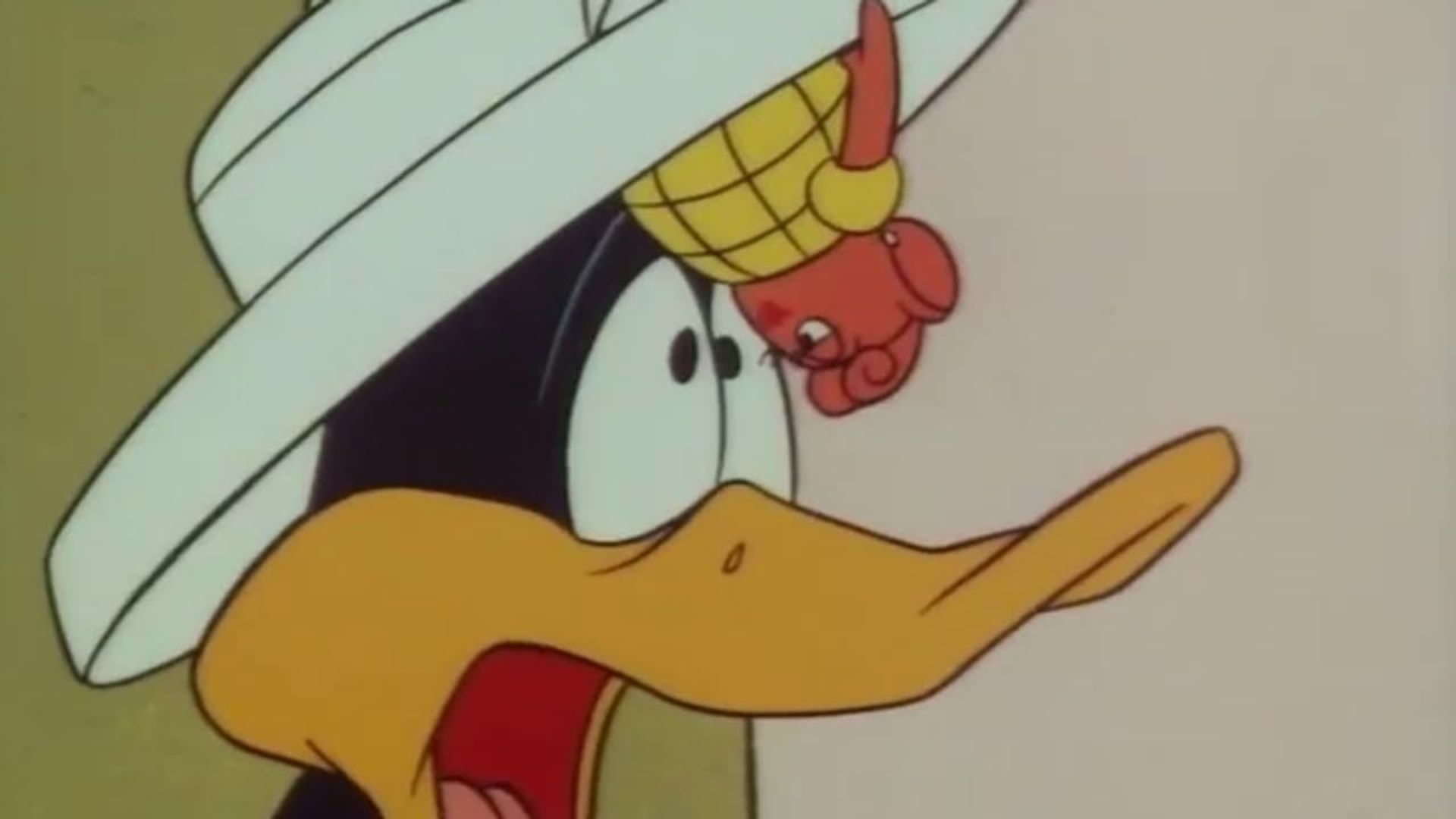 Quacker Tracker background