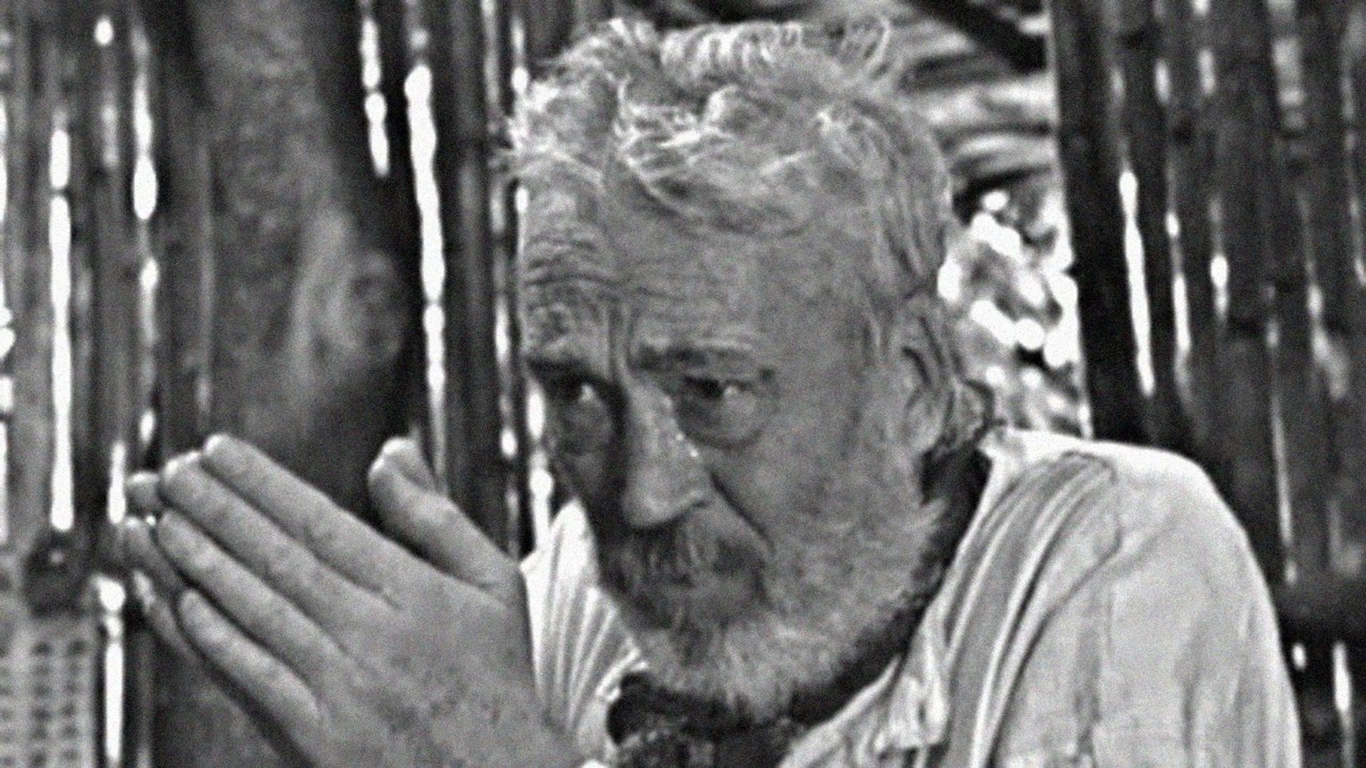 The Bridge in the Jungle background
