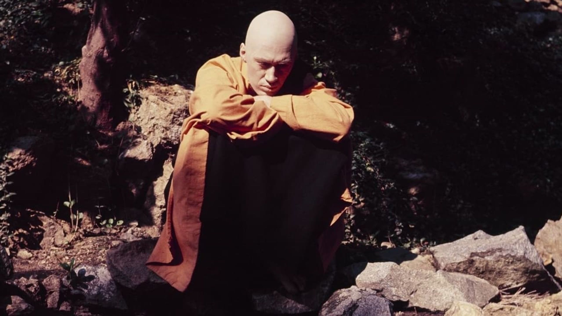 Kung Fu background