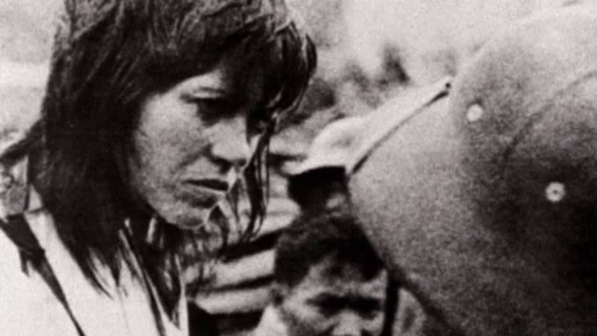 Letter to Jane: An Investigation About a Still background