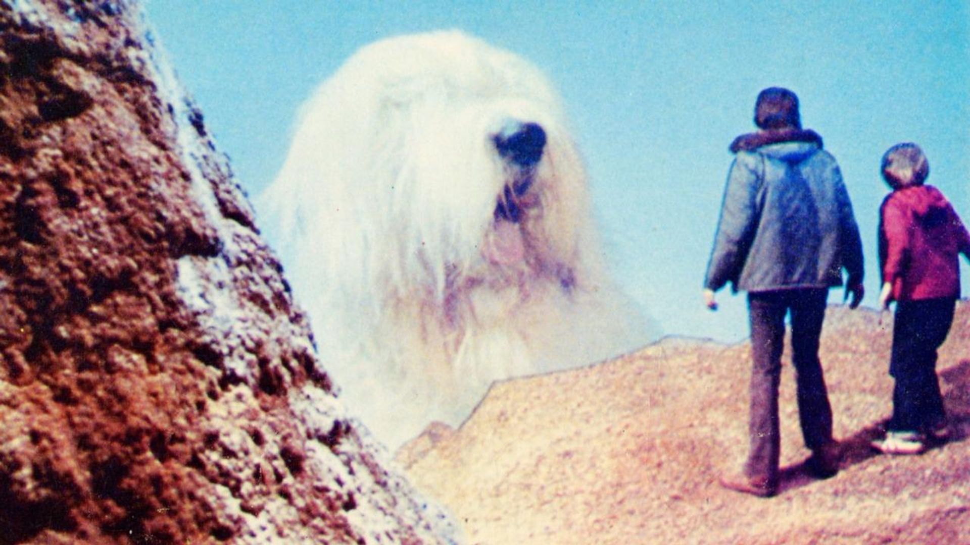 Digby: The Biggest Dog in the World background