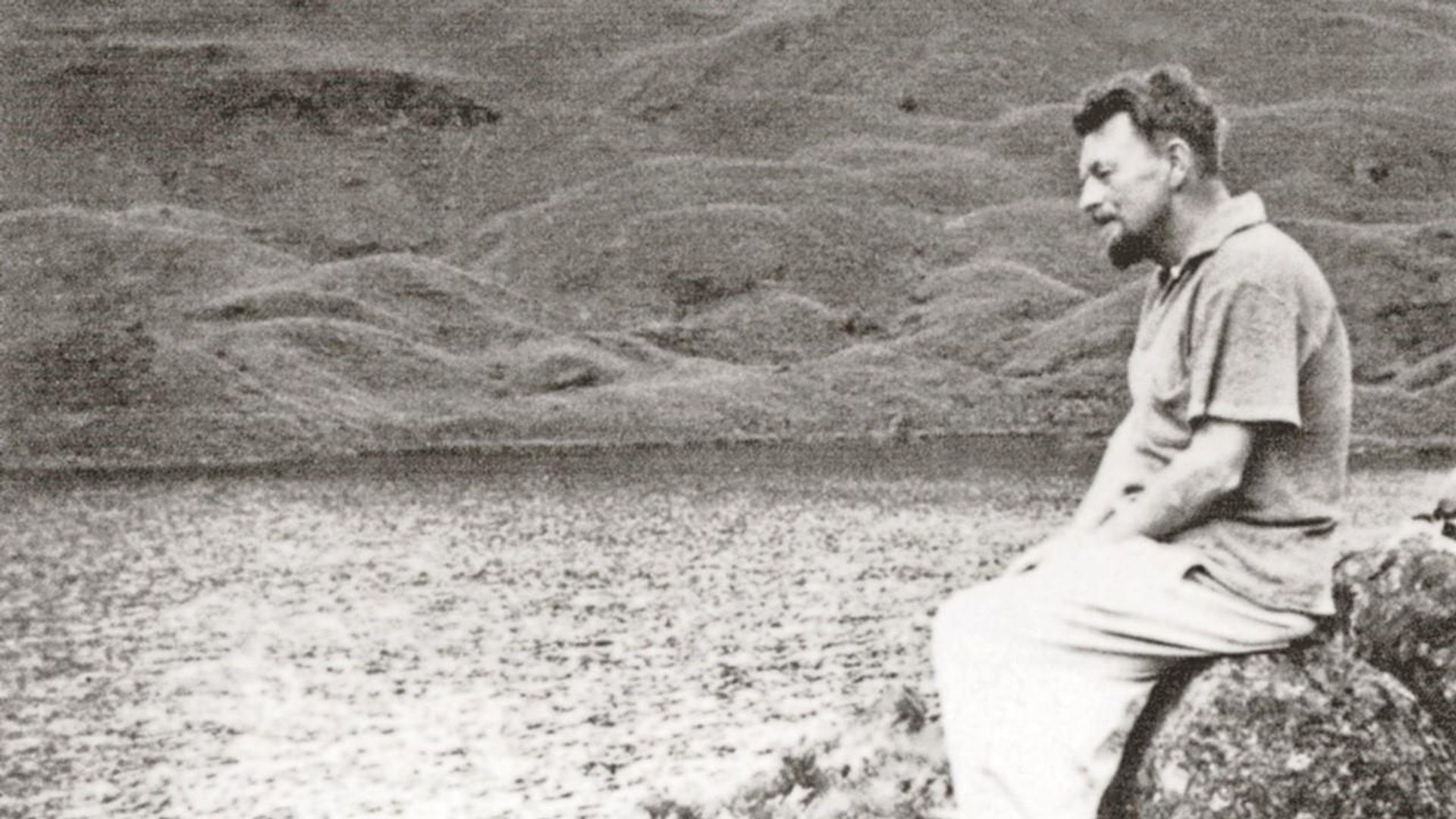 Volcano: An Inquiry Into the Life and Death of Malcolm Lowry background
