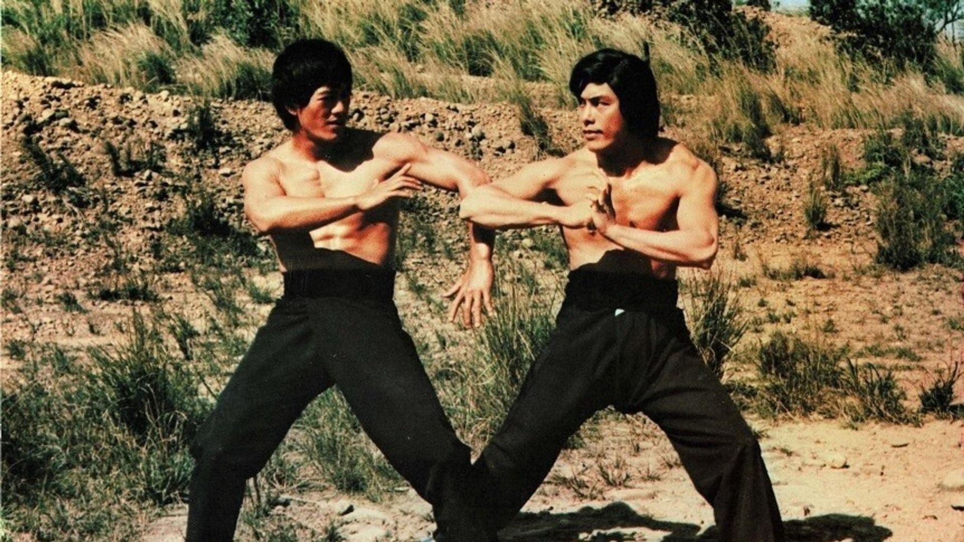 Bruce Lee: A Dragon Story background