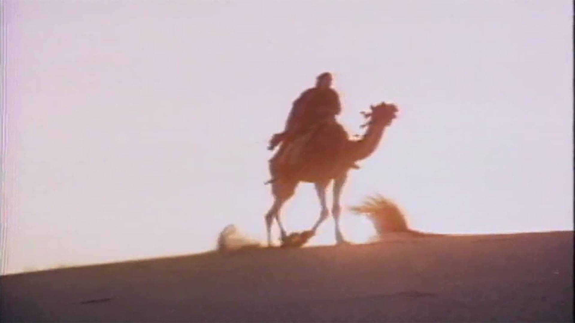 Moses the Lawgiver background