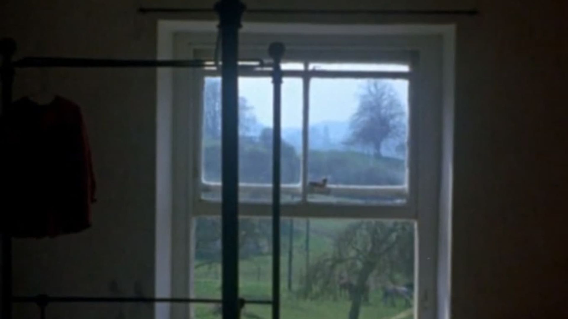 Windows background