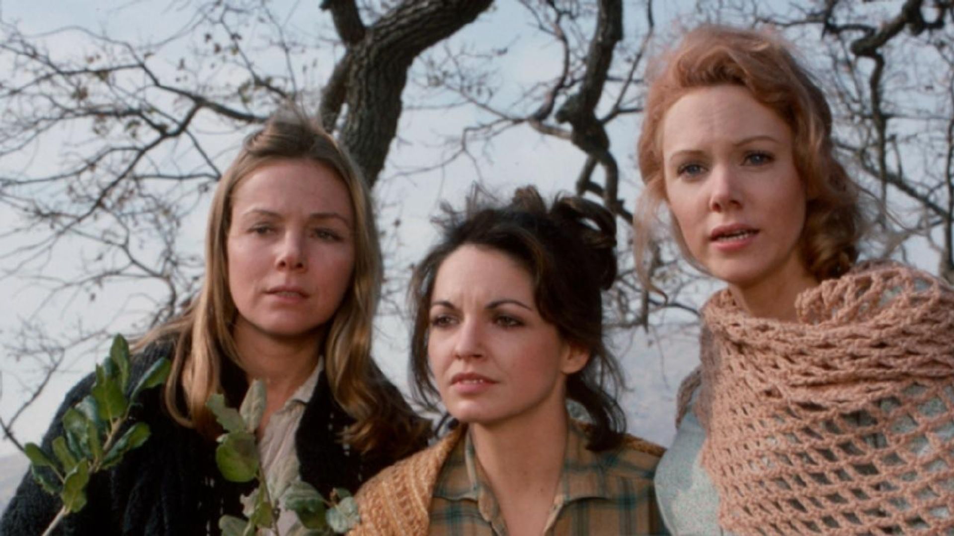 The New Daughters of Joshua Cabe background