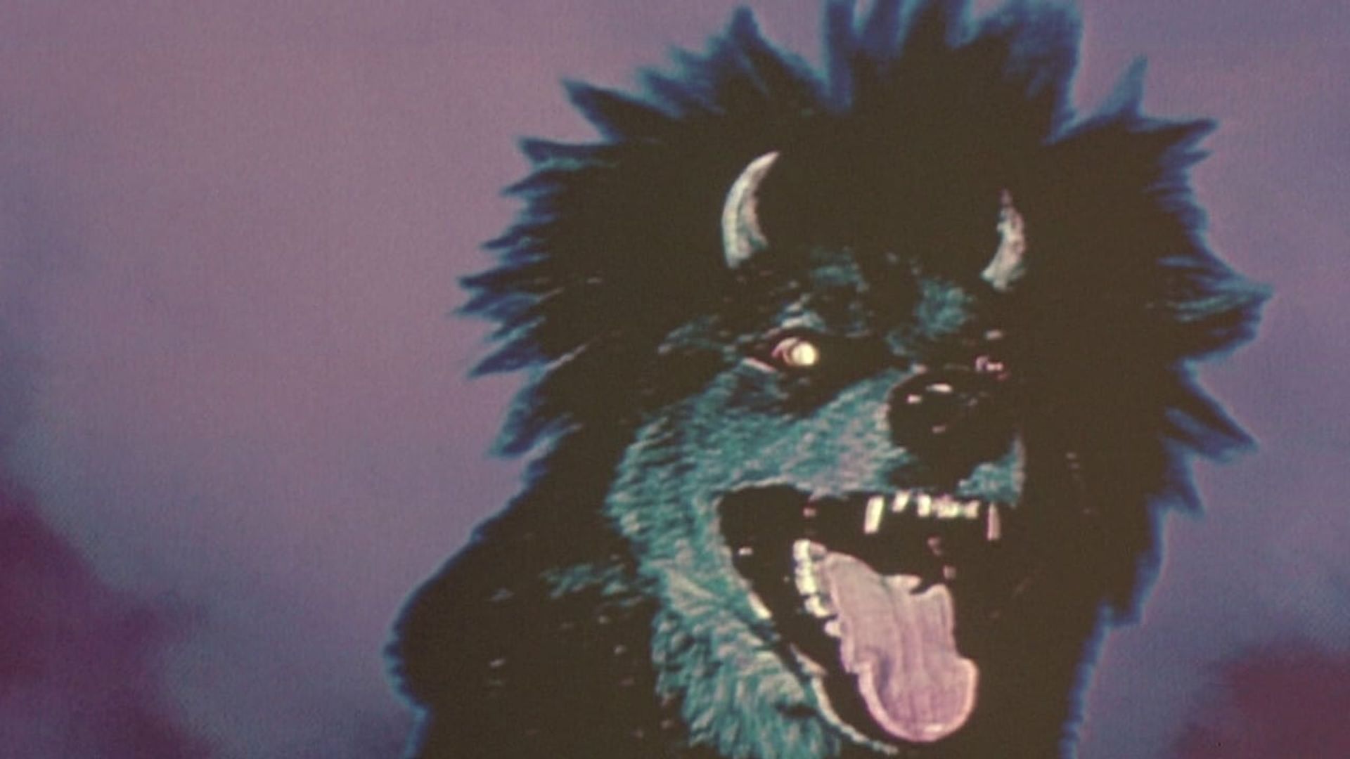 Devil Dog: The Hound of Hell background