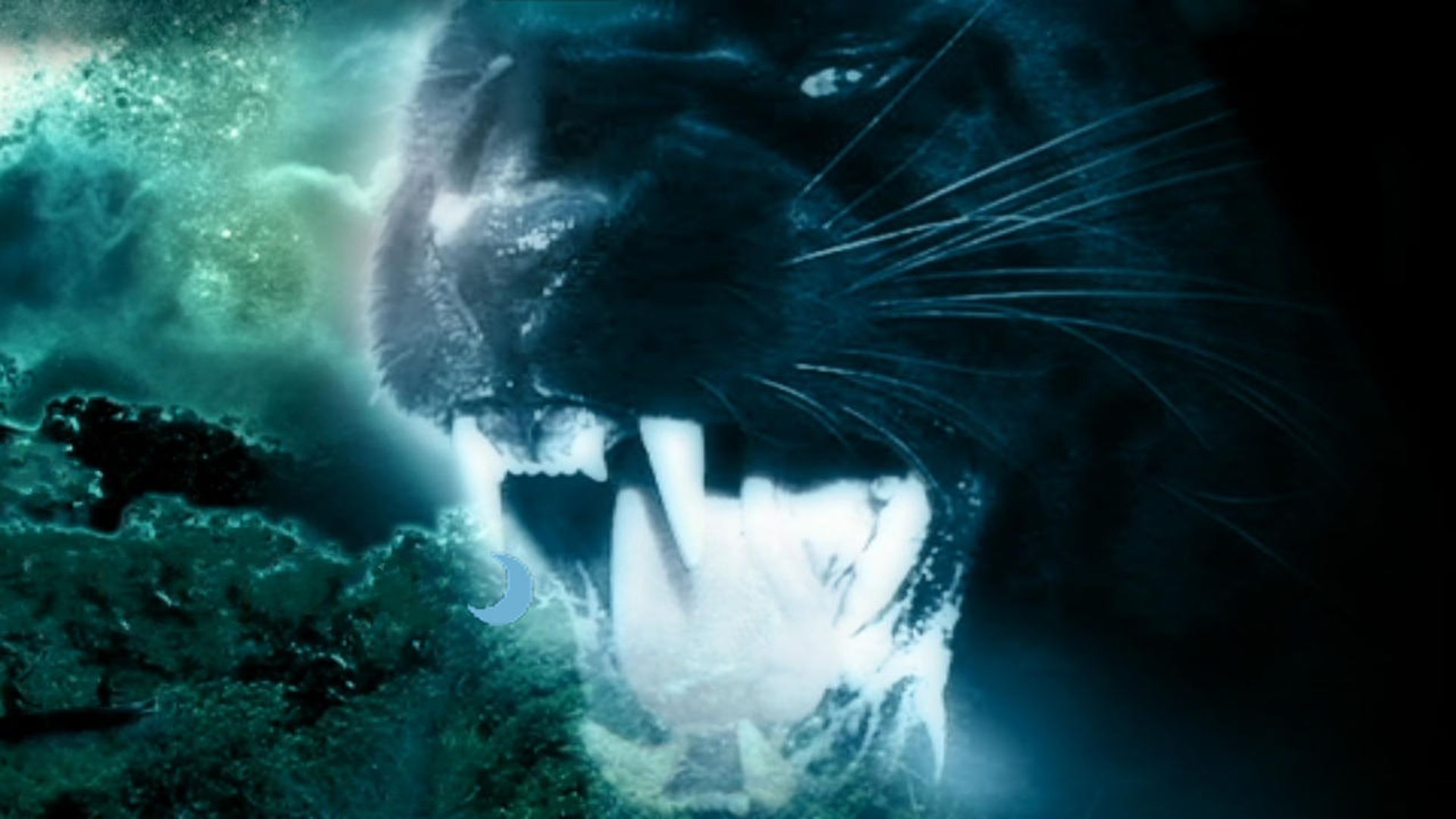 Night Creature background