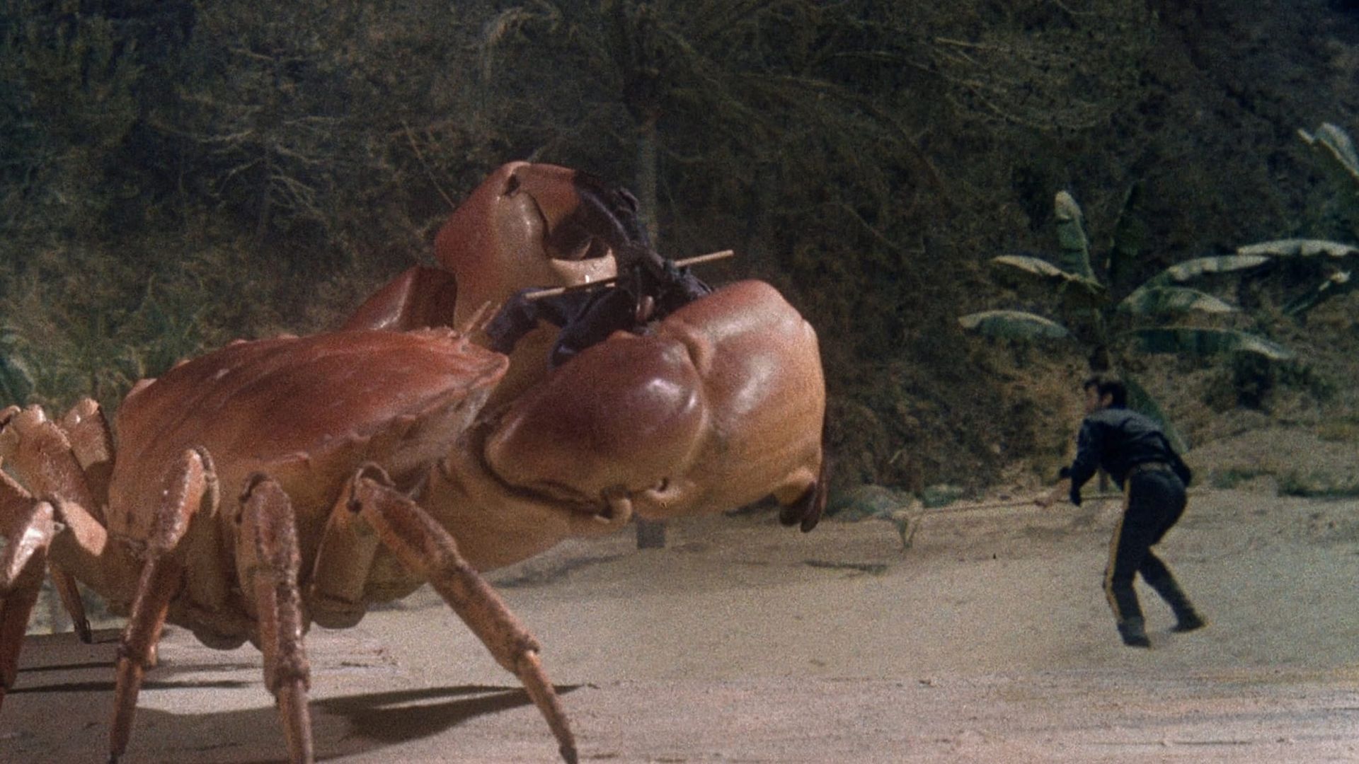 Island Claws background